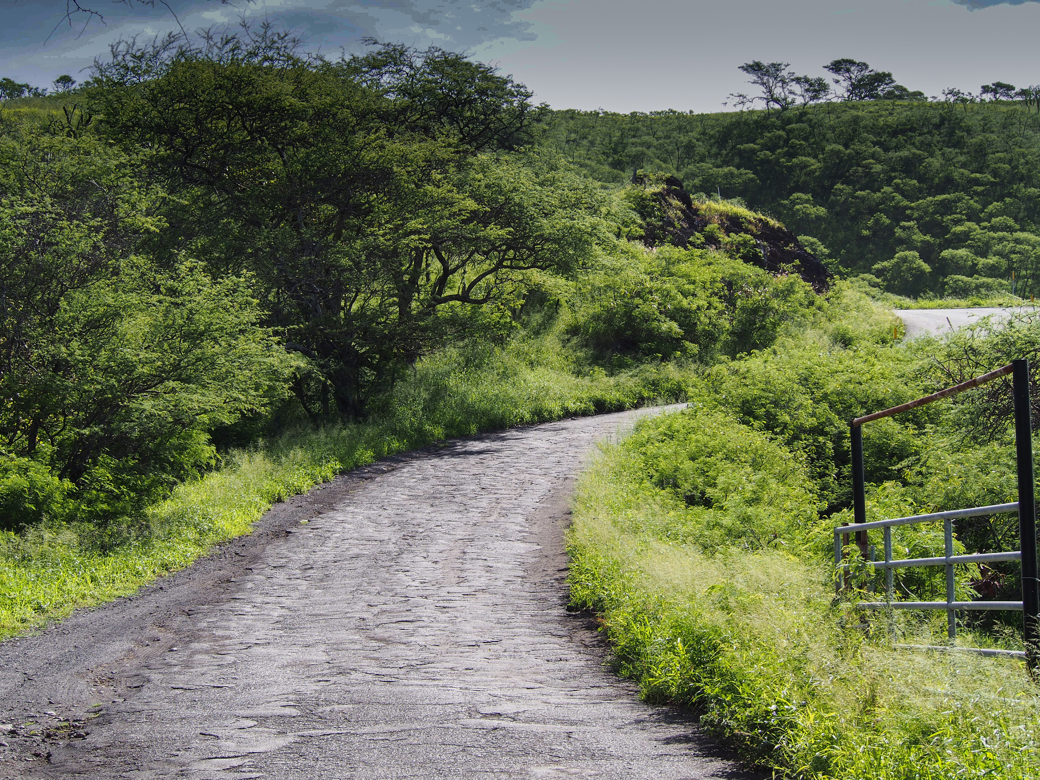 Olympus PEN E-PL5 sample photo. Pi'ilani highway on maui photography