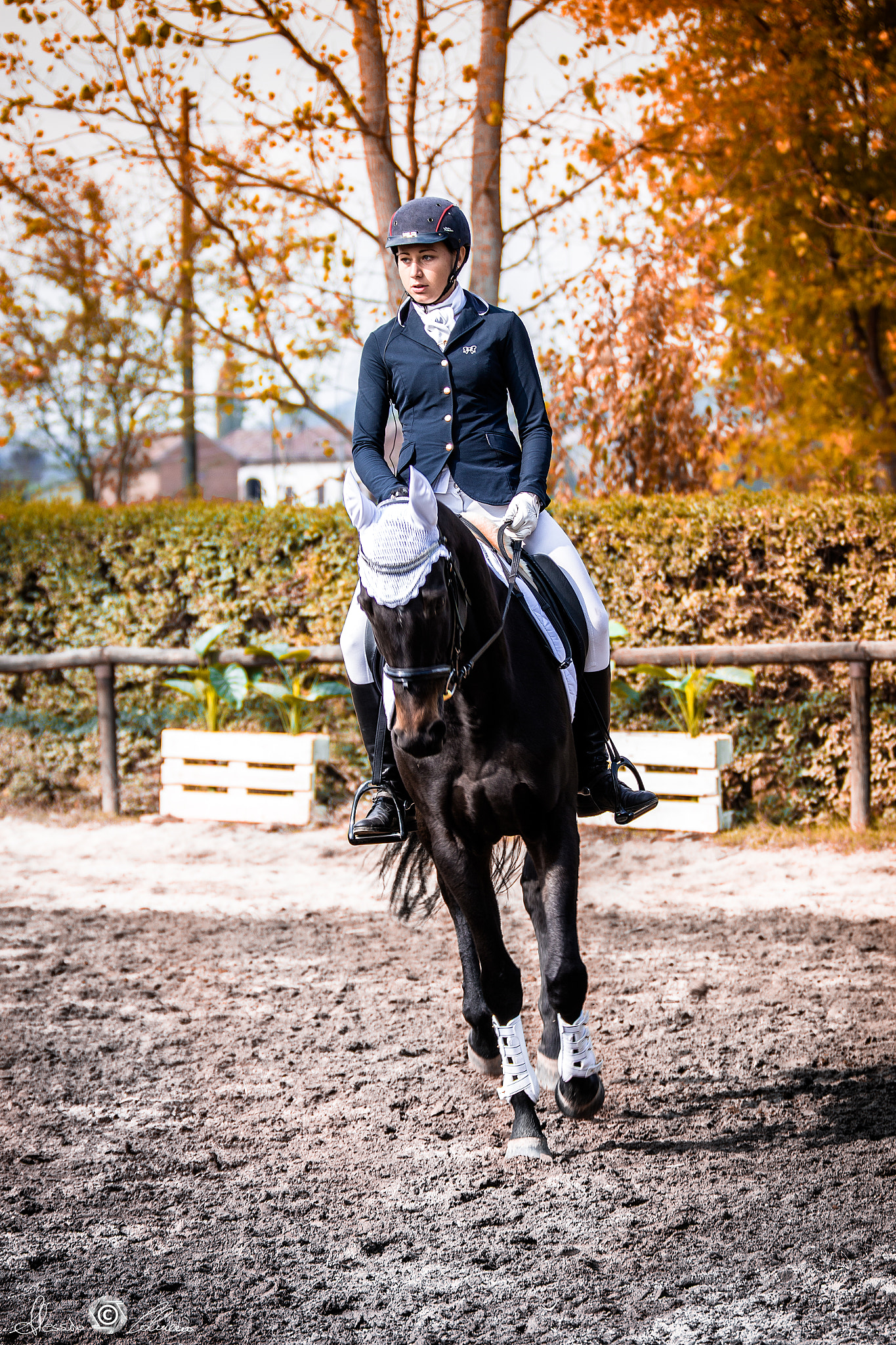 Canon EF 70-200mm F2.8L IS II USM sample photo. Autumn race photography