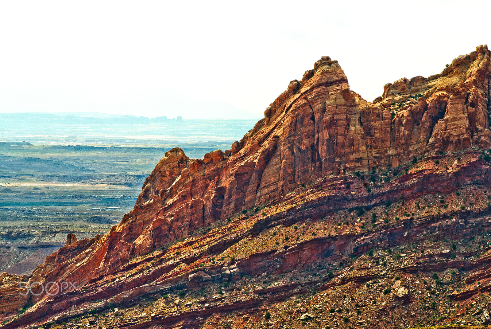 AF Zoom-Nikkor 80-200mm f/2.8 ED sample photo. Spotted wolf canyon photography