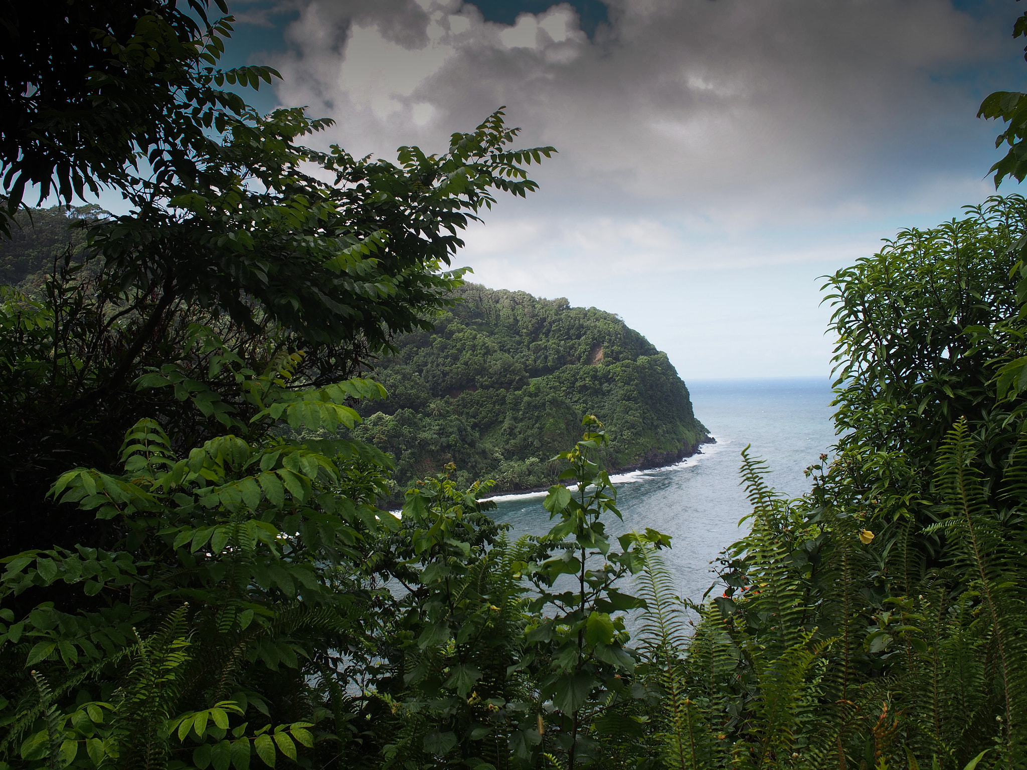 Olympus PEN E-PL5 + Olympus M.Zuiko Digital 17mm F1.8 sample photo. Tropical coastline from the hana highway on maui photography