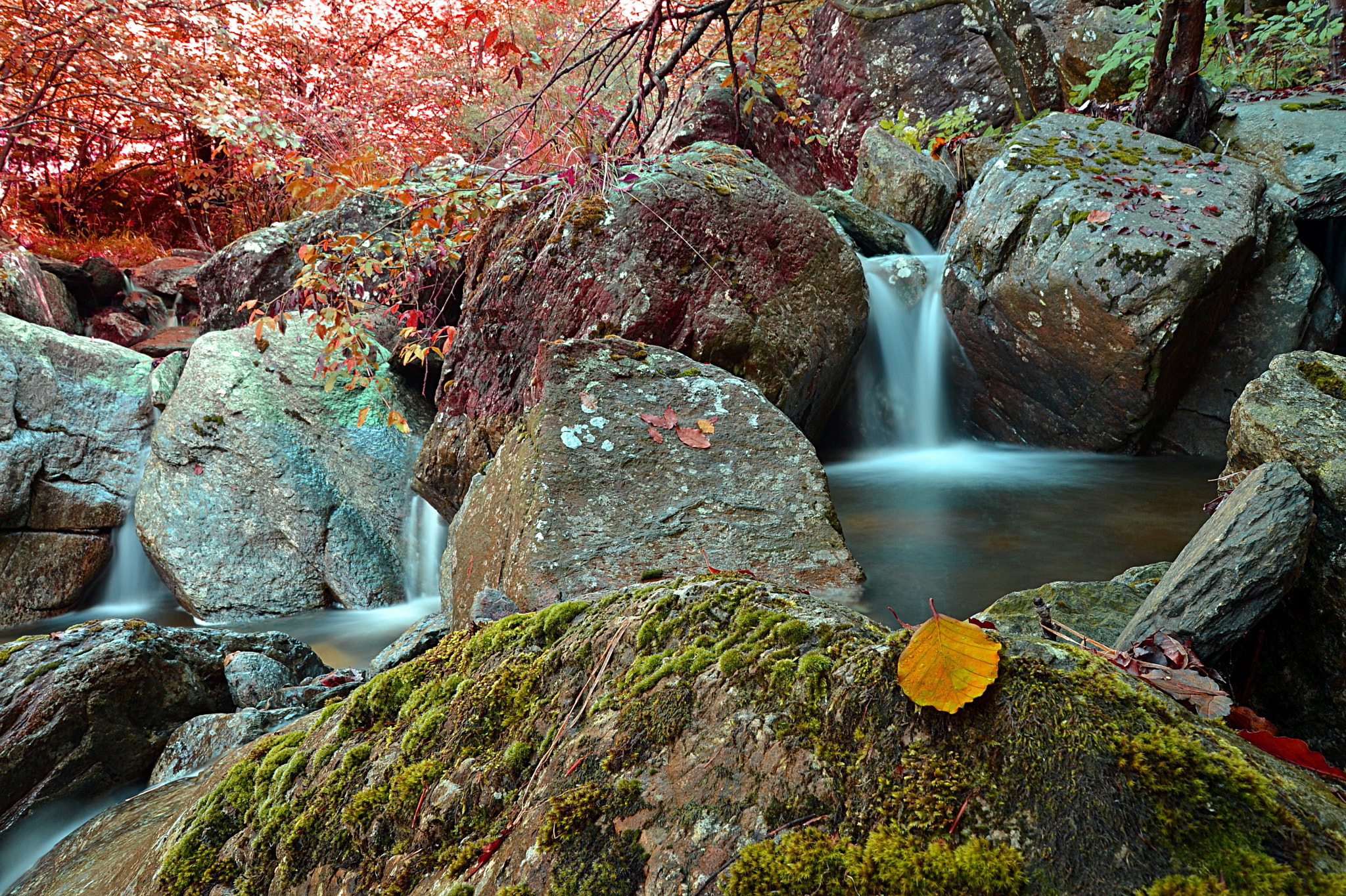 Nikon D3100 + Sigma 10-20mm F3.5 EX DC HSM sample photo. Lief photography