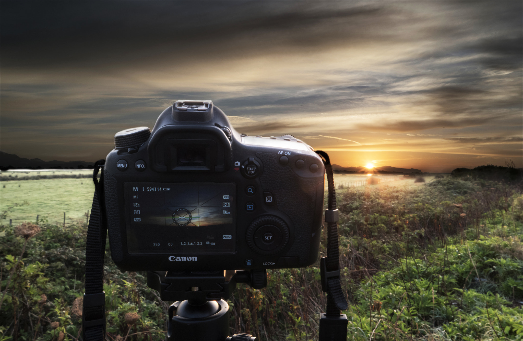Samsung NX500 sample photo. Canon foto photography