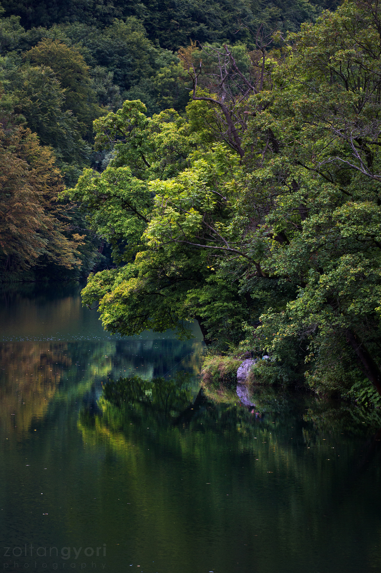 Sigma APO Macro 150mm f/2.8 EX DG HSM sample photo. 'emerald lake' photography
