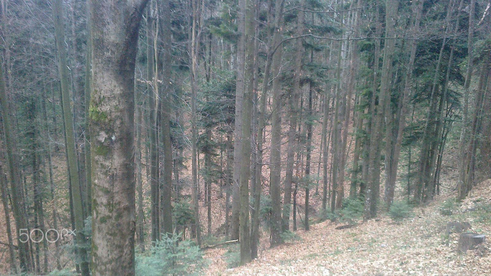Nokia 500 sample photo. Kozara, republika srpska photography