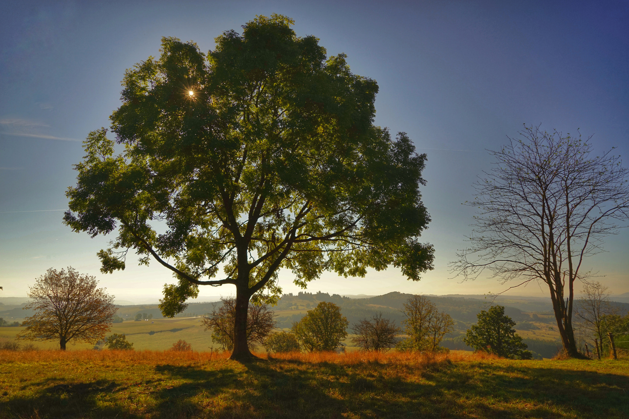 Sony Vario Tessar T* FE 24-70mm F4 ZA OSS sample photo. Herbst in der vulkaneifel photography