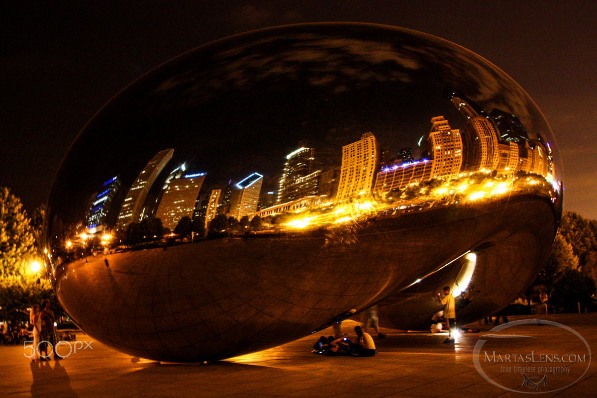 Canon EOS 450D (EOS Rebel XSi / EOS Kiss X2) sample photo. Chicago skyline reflection photography