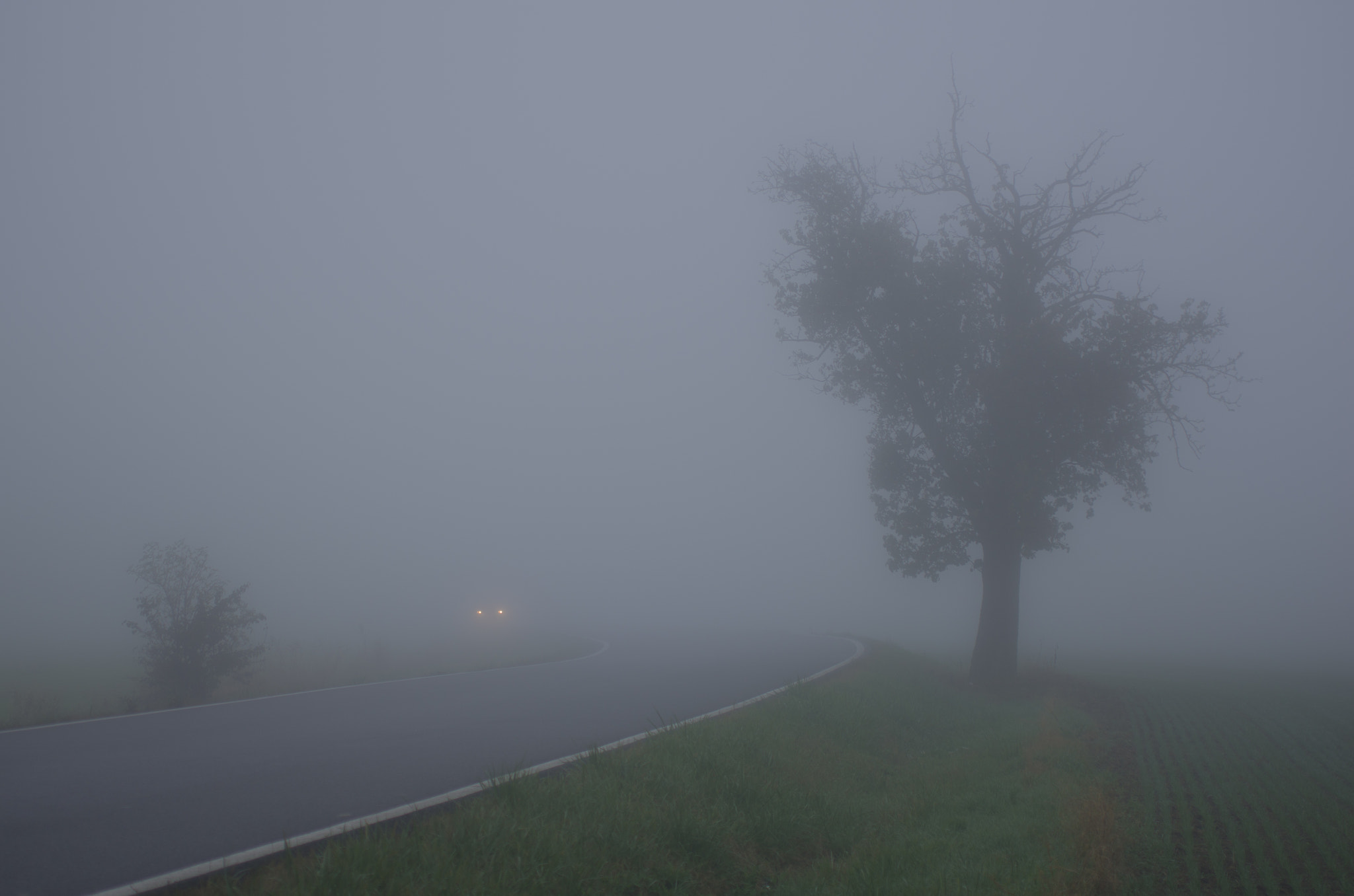 Pentax K-5 + smc PENTAX-F MACRO 50mm F2.8 sample photo. Foggy morning photography