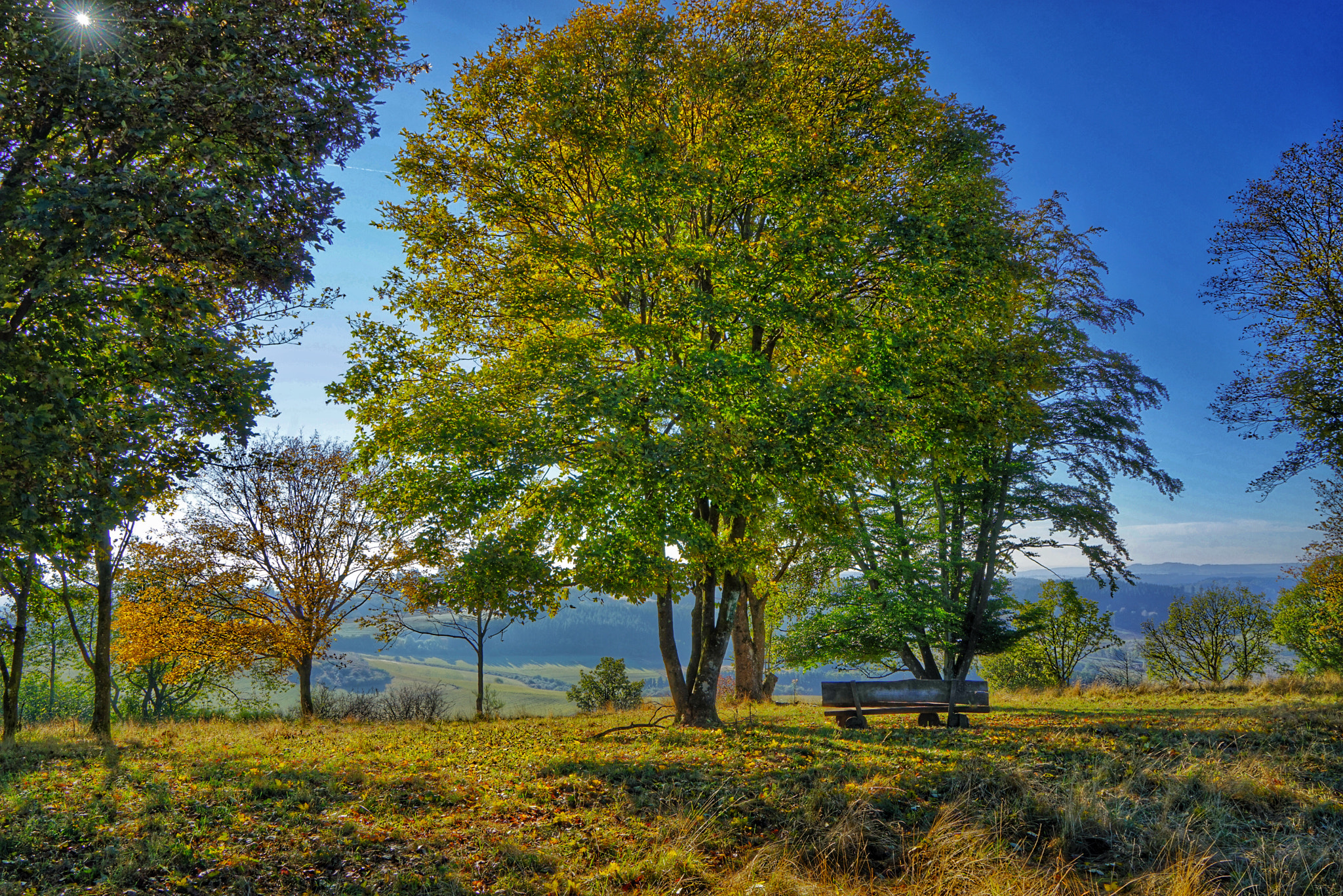 Sony a7R + Sony Vario Tessar T* FE 24-70mm F4 ZA OSS sample photo. Auf dem mäuseberg photography