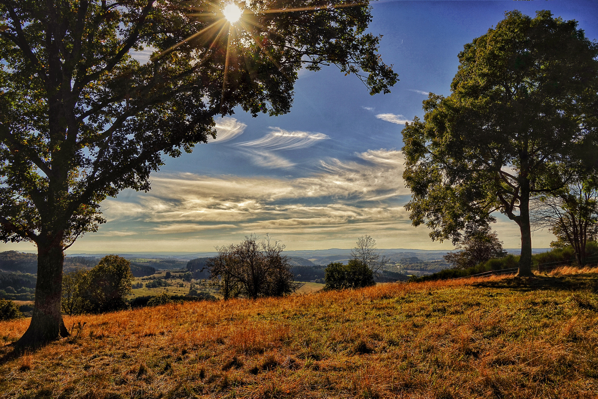 Sony a7R + Sony Vario Tessar T* FE 24-70mm F4 ZA OSS sample photo. Herbstidylle in der vulkaneifel photography