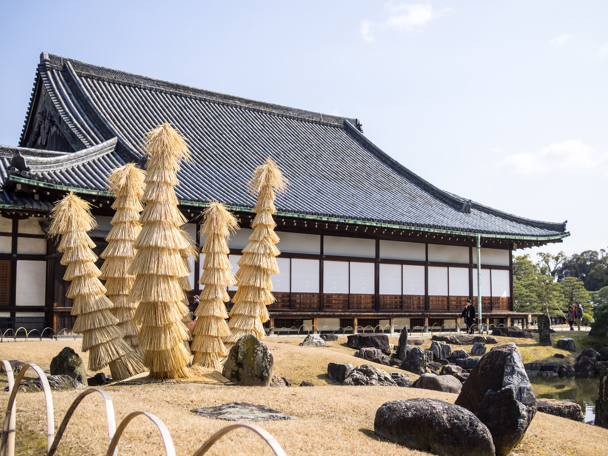 Olympus OM-D E-M1 + Panasonic Lumix G 20mm F1.7 ASPH sample photo. Trees of the nijo castle photography