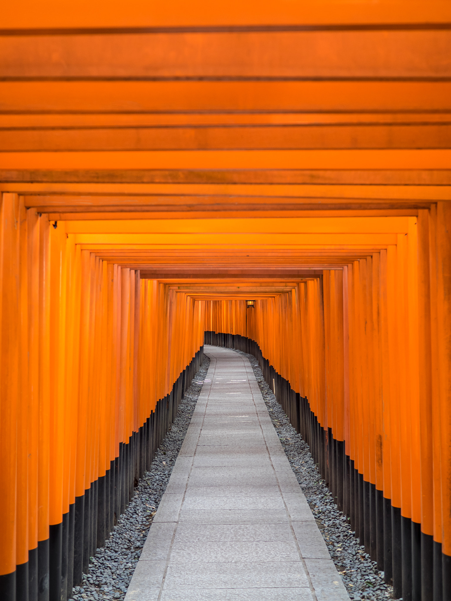 Olympus OM-D E-M1 + Panasonic Lumix G 20mm F1.7 ASPH sample photo. Road of toris in fushimi inari shrine photography