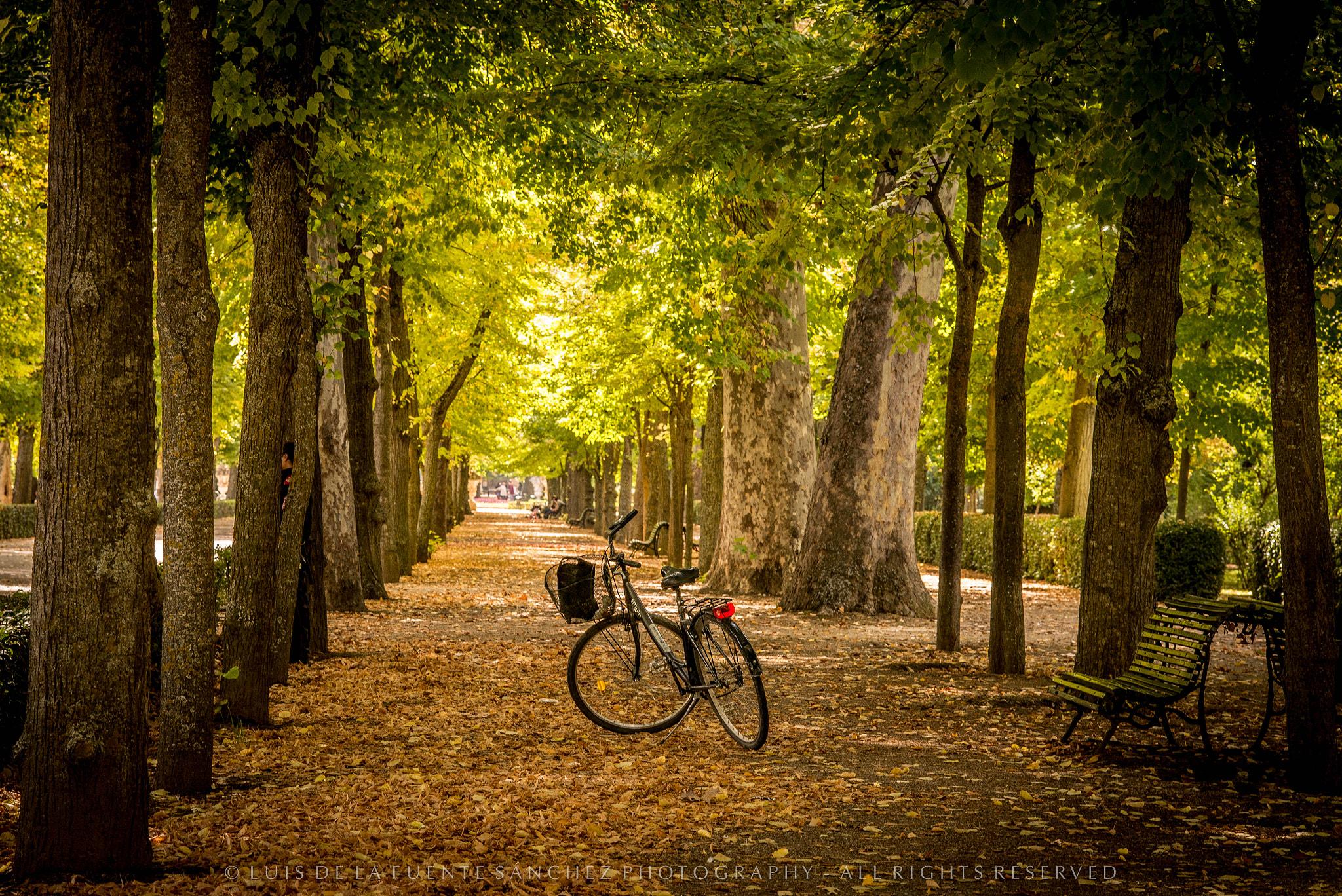 Leica APO-Summicron-M 90mm F2 ASPH sample photo. La bicicleta photography