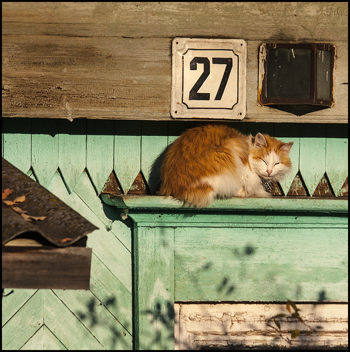 Canon EF-S 55-250mm F4-5.6 IS sample photo. ...... photography