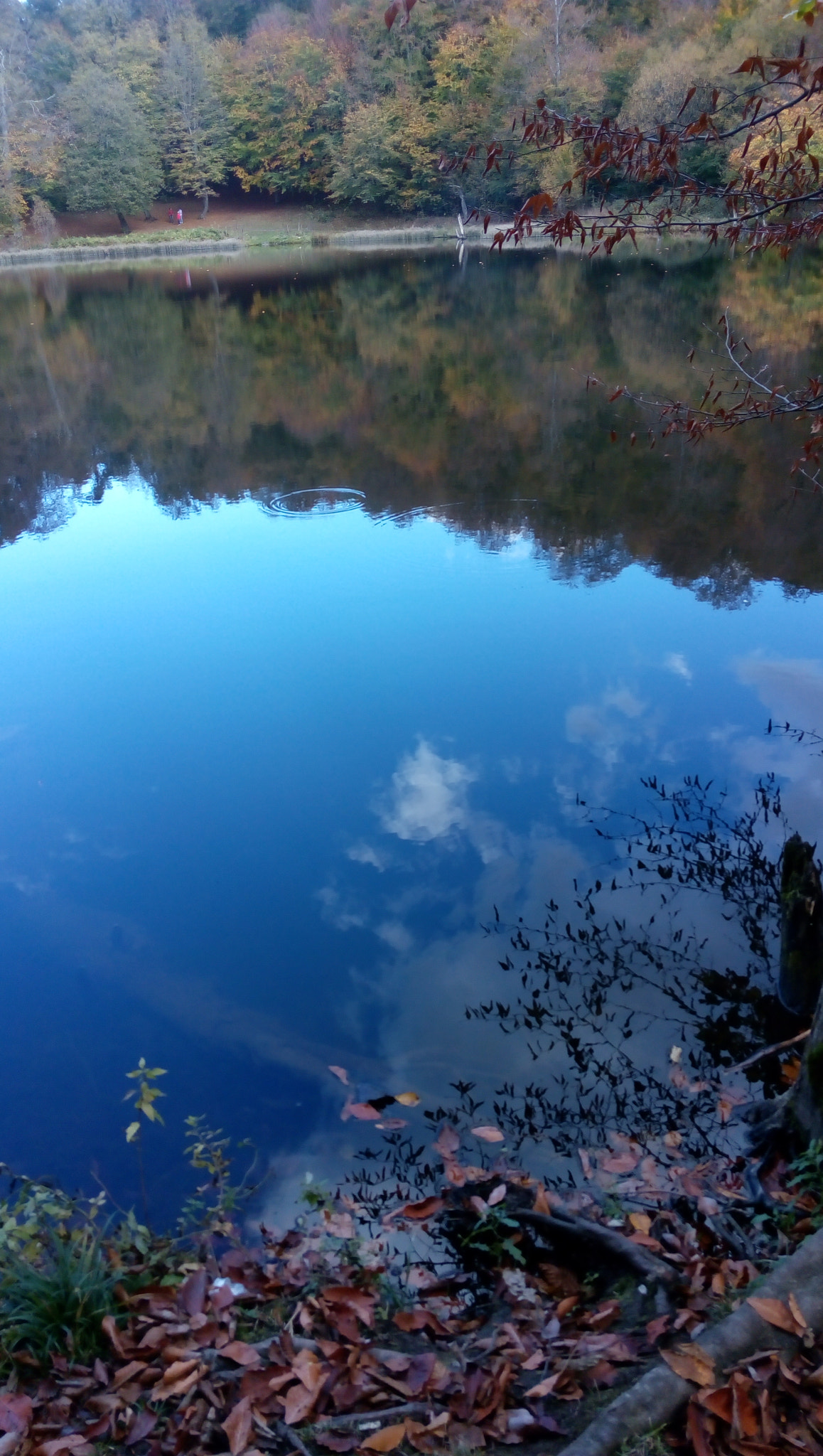 Lenovo P70-A sample photo. Gosh lake photography