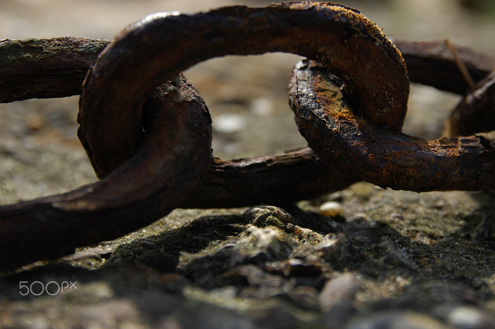 Nikon D70s + Sigma 18-50mm F2.8 EX DC Macro sample photo. Rusty links. photography