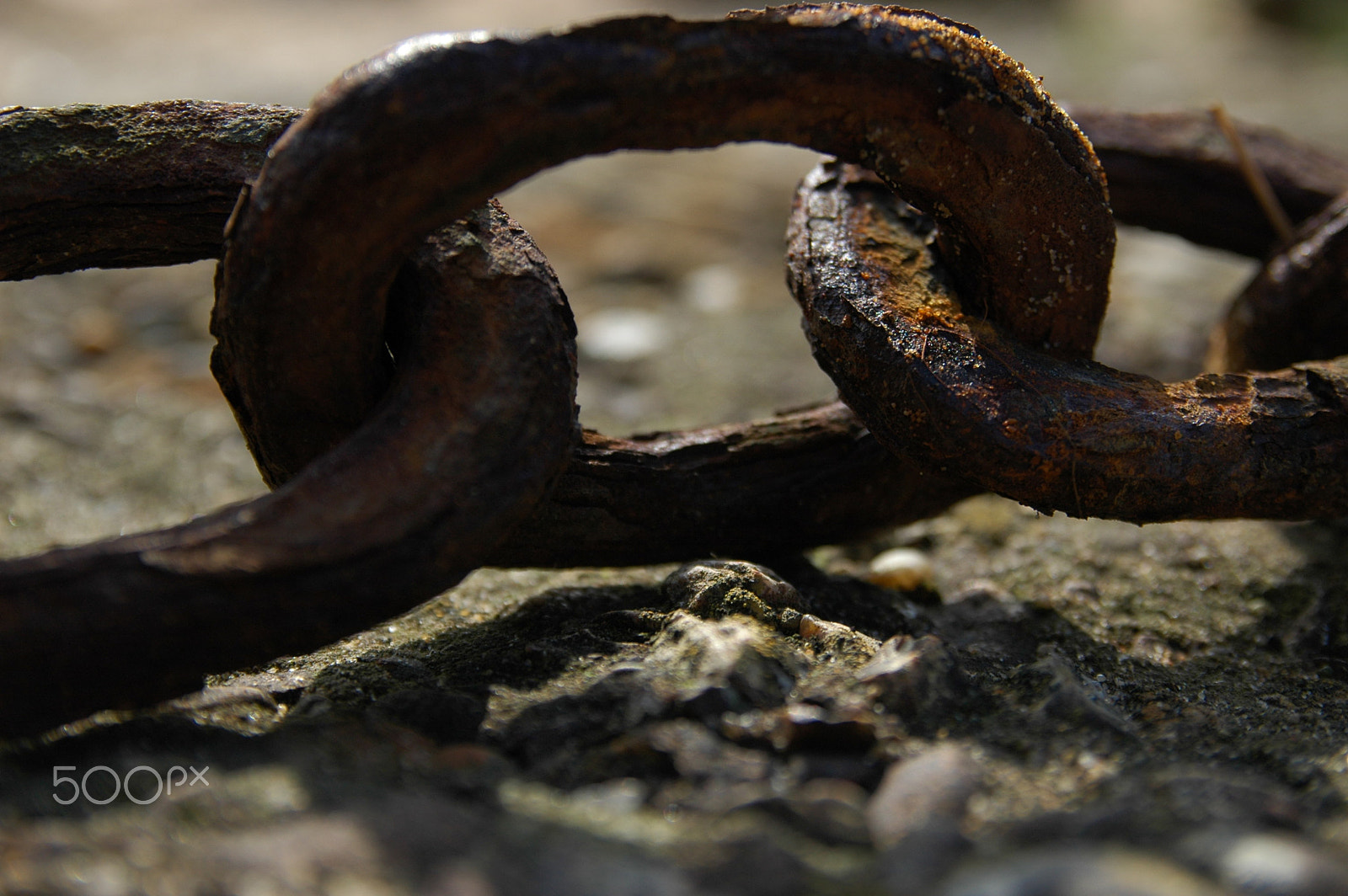 Nikon D70s sample photo. Rusty links. photography