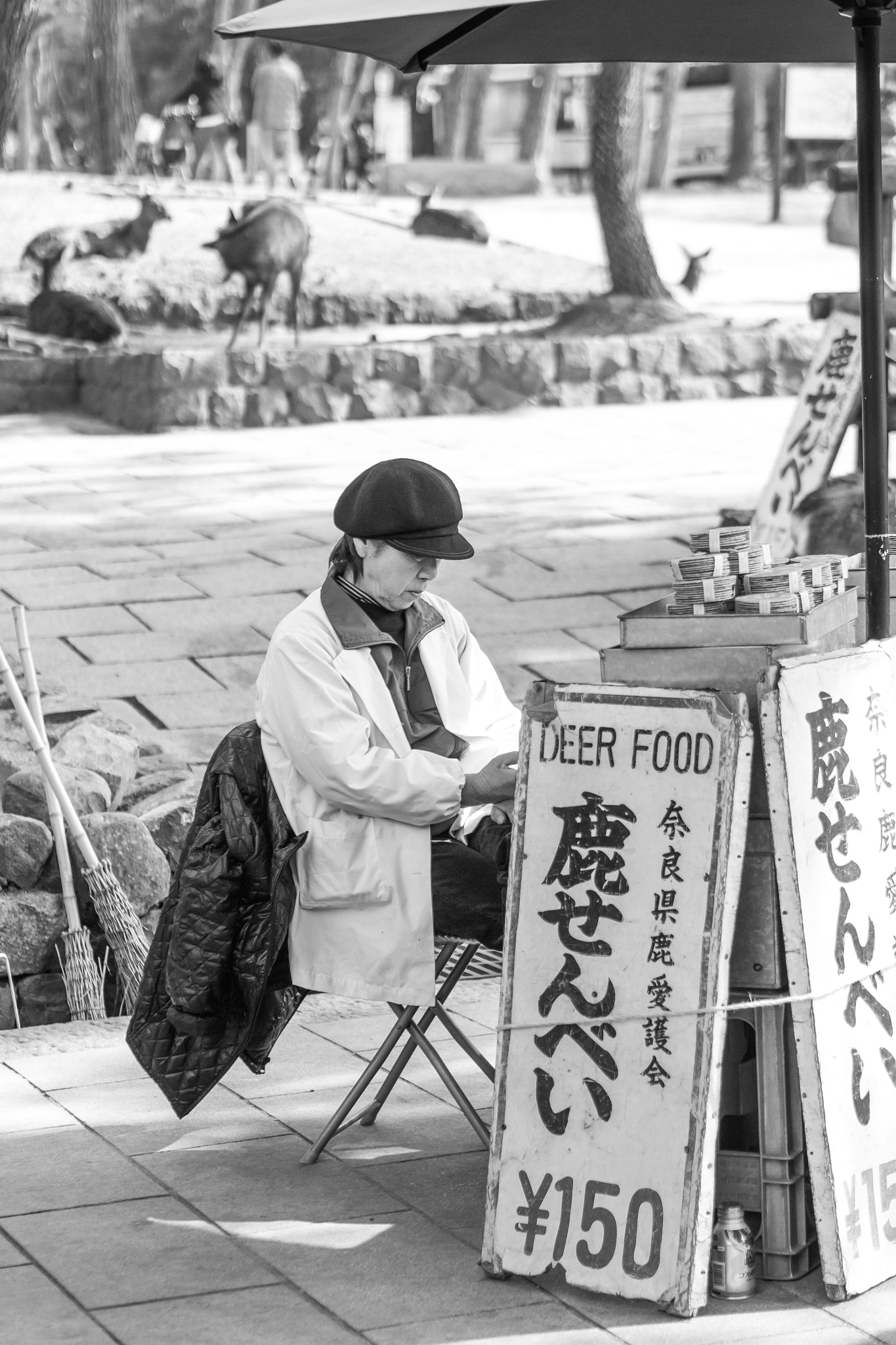 Panasonic Lumix DMC-G5 + Olympus M.Zuiko Digital 45mm F1.8 sample photo. Deer food sellers photography