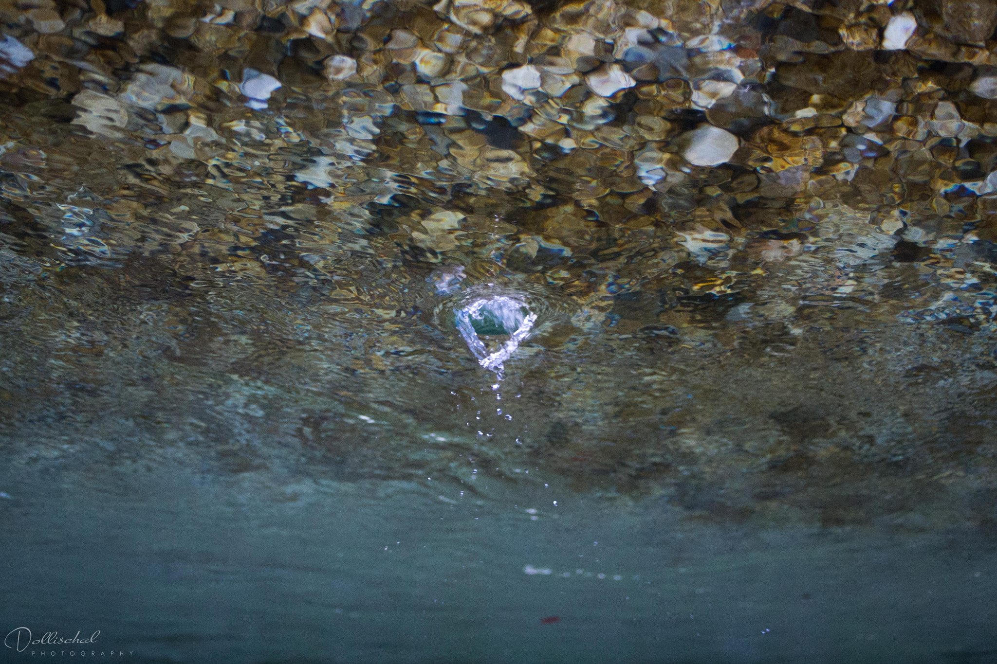 Canon EF 35-80mm f/4-5.6 USM sample photo. Water photography