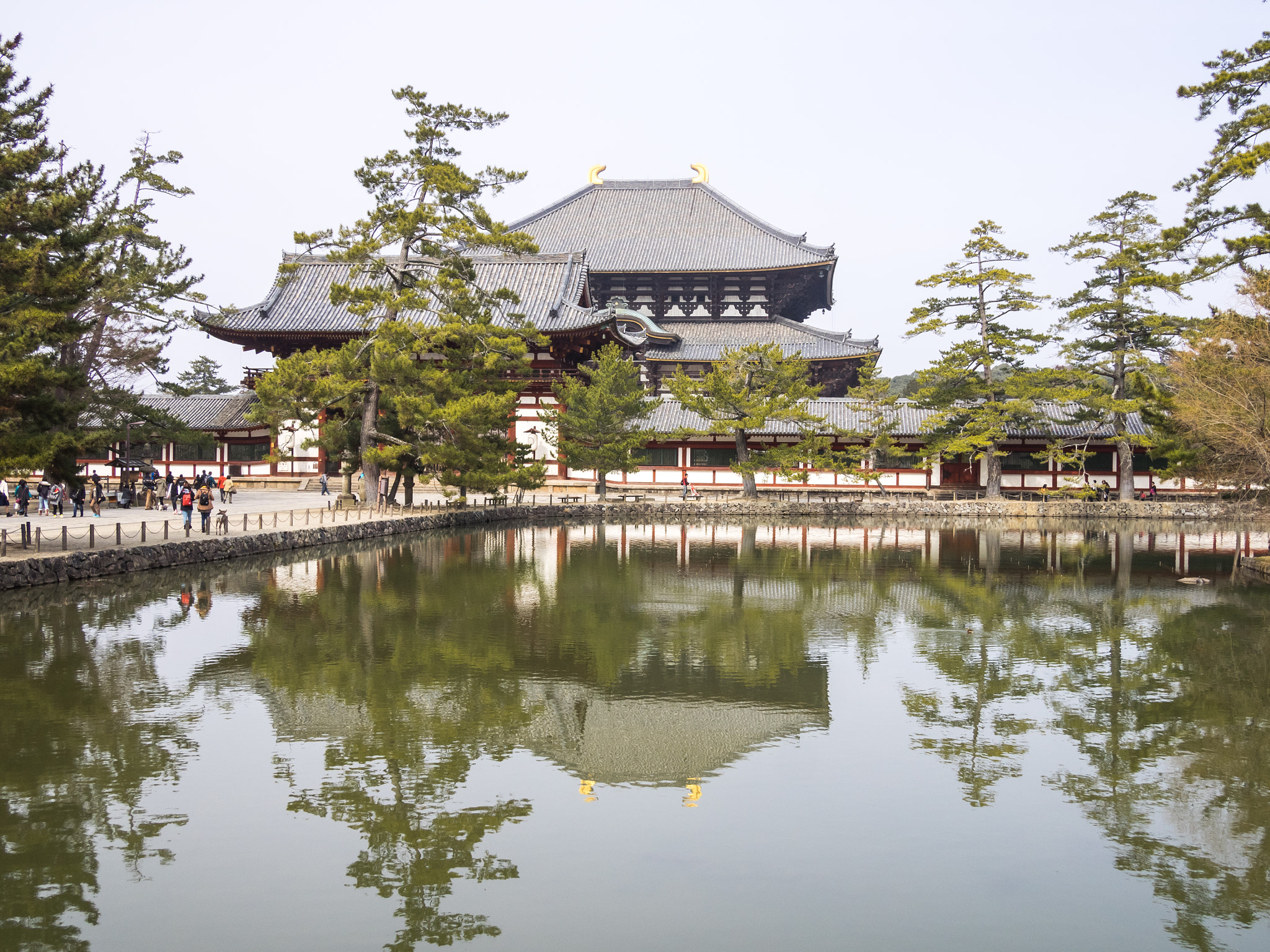 Olympus OM-D E-M1 + Panasonic Lumix G 20mm F1.7 ASPH sample photo. Todaiji over the water photography