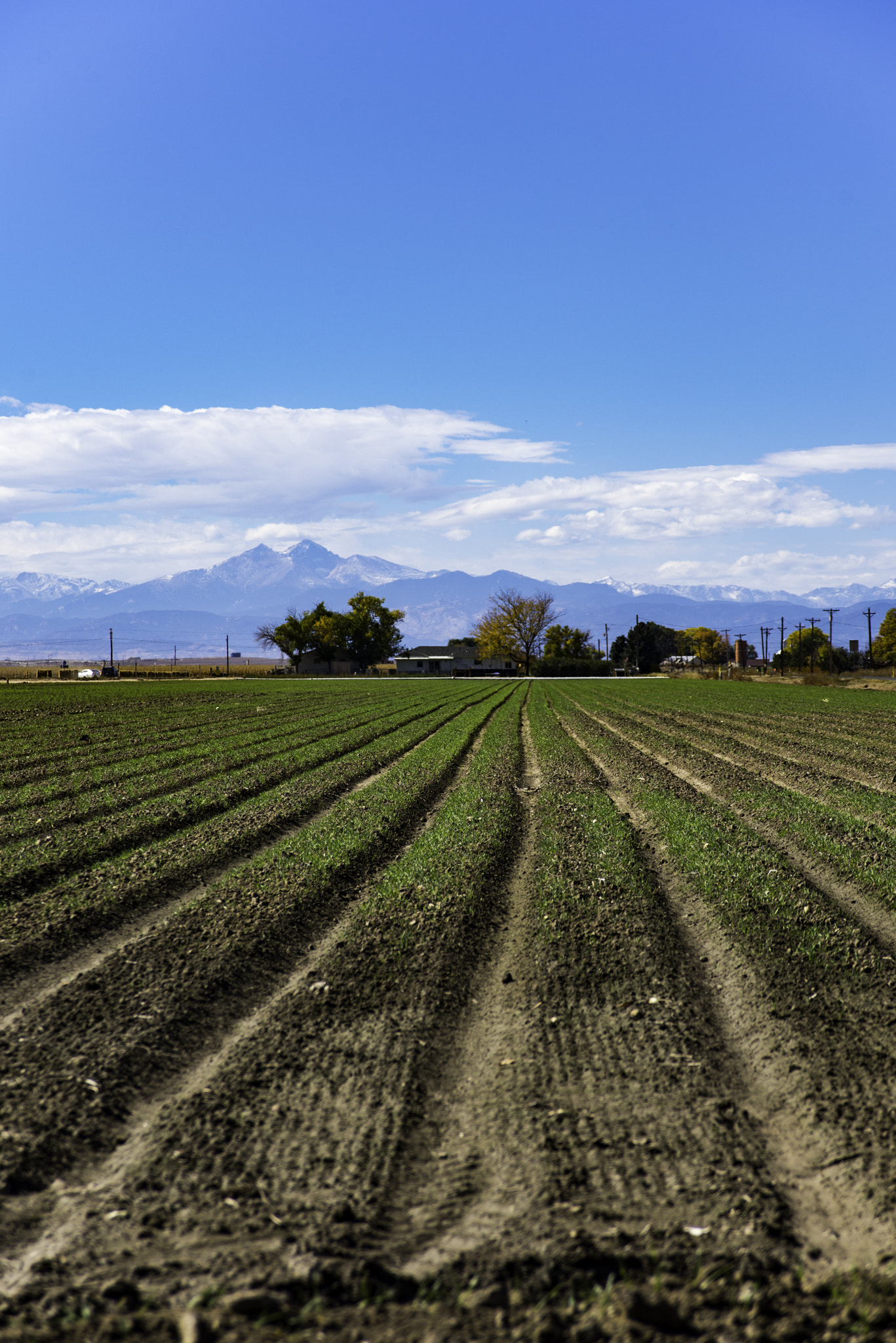 AF Zoom-Nikkor 28-105mm f/3.5-4.5D IF sample photo. Beautiful colorado farm land photography