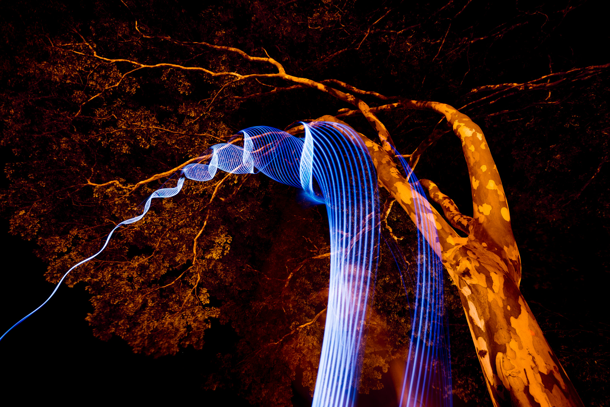 Sigma 12-24mm F4.5-5.6 EX DG Aspherical HSM sample photo. Tornado de luz photography