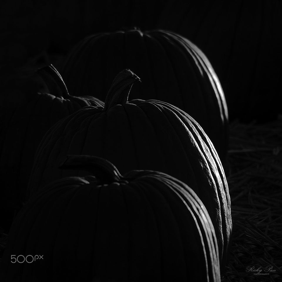 Olympus OM-D E-M5 II sample photo. 4 pumpkins photography