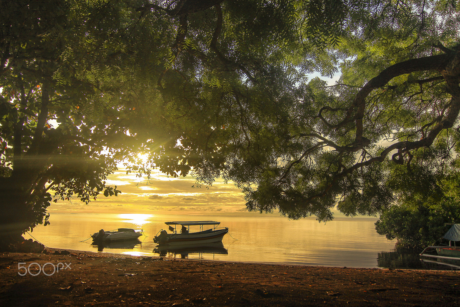 Tokina AT-X Pro 12-24mm F4 (IF) DX sample photo. Moccachinostudio photography
