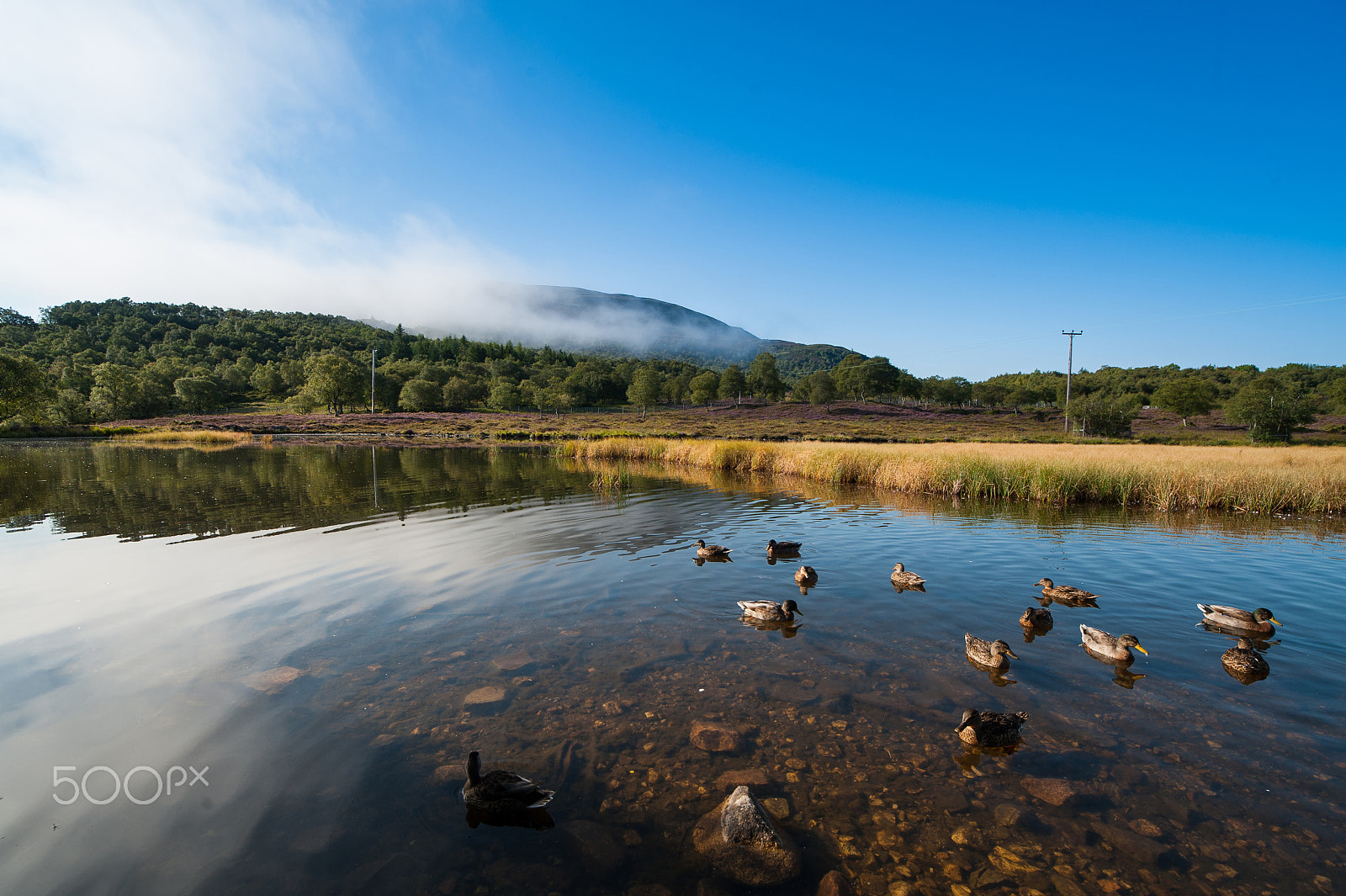 Nikon D3 sample photo. Cairngorms view on lake photography