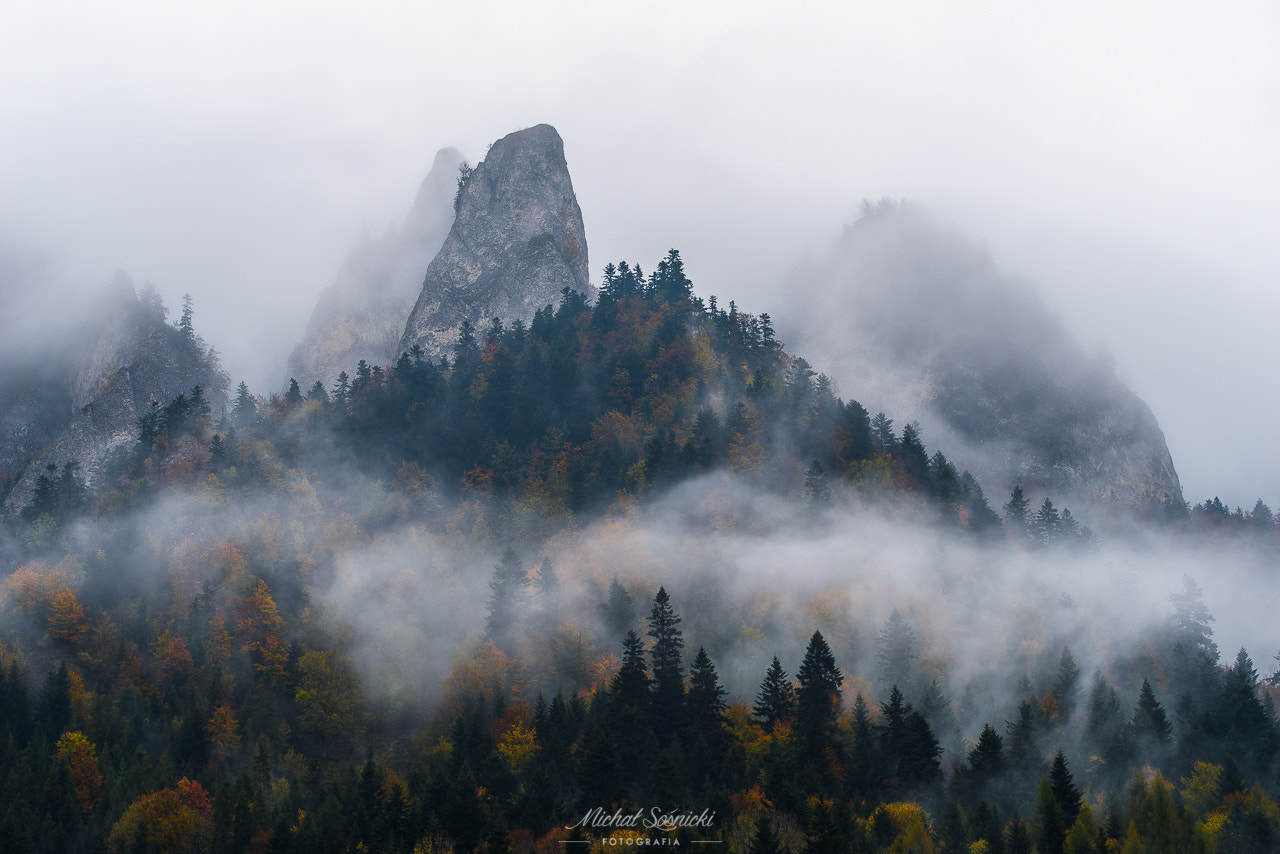 Pentax K-1 + Sigma sample photo. Pieniny... photography