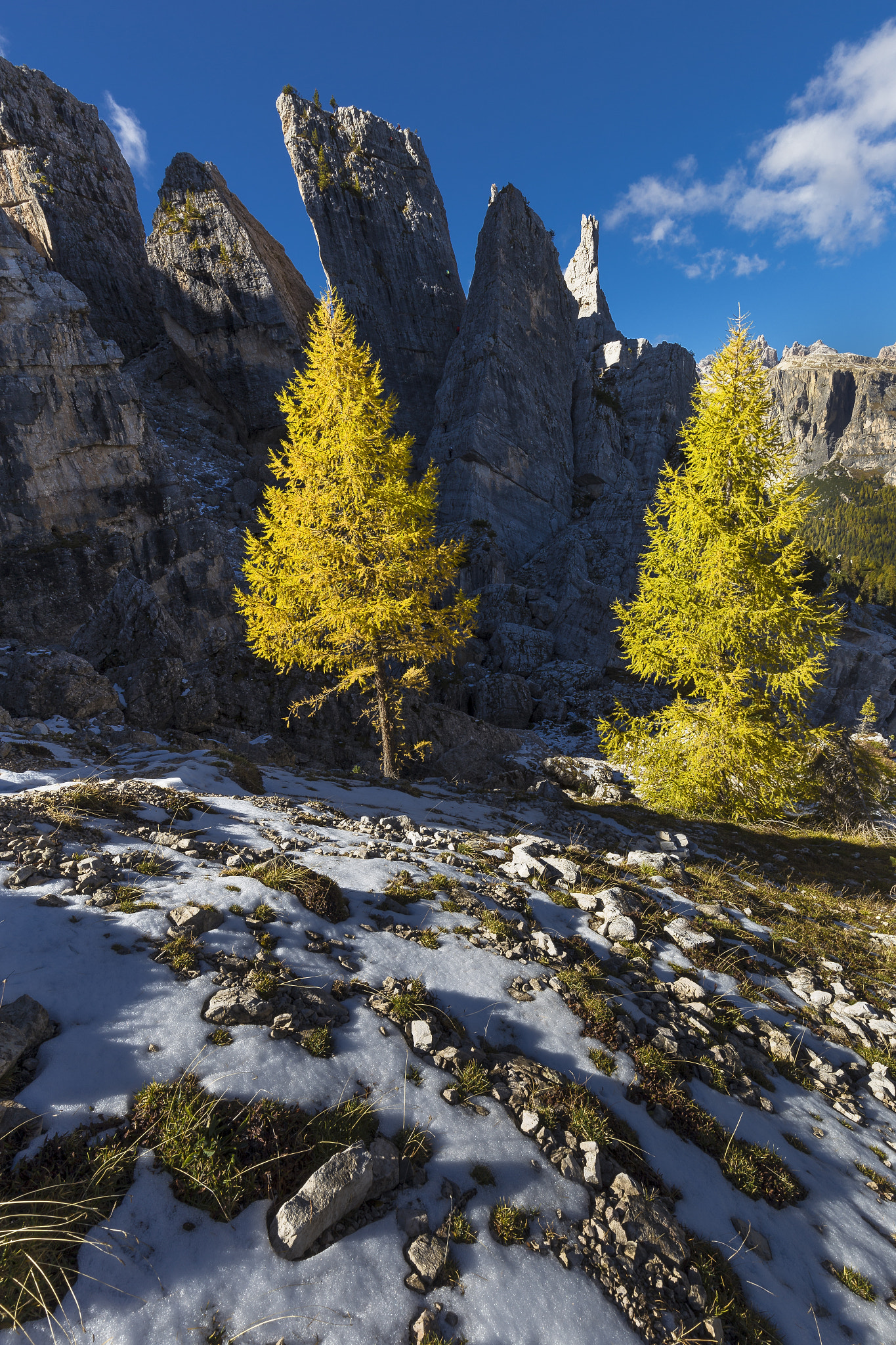 Canon EOS 6D + Canon EF 16-35mm F4L IS USM sample photo. Cinque torri, larch in autumn photography