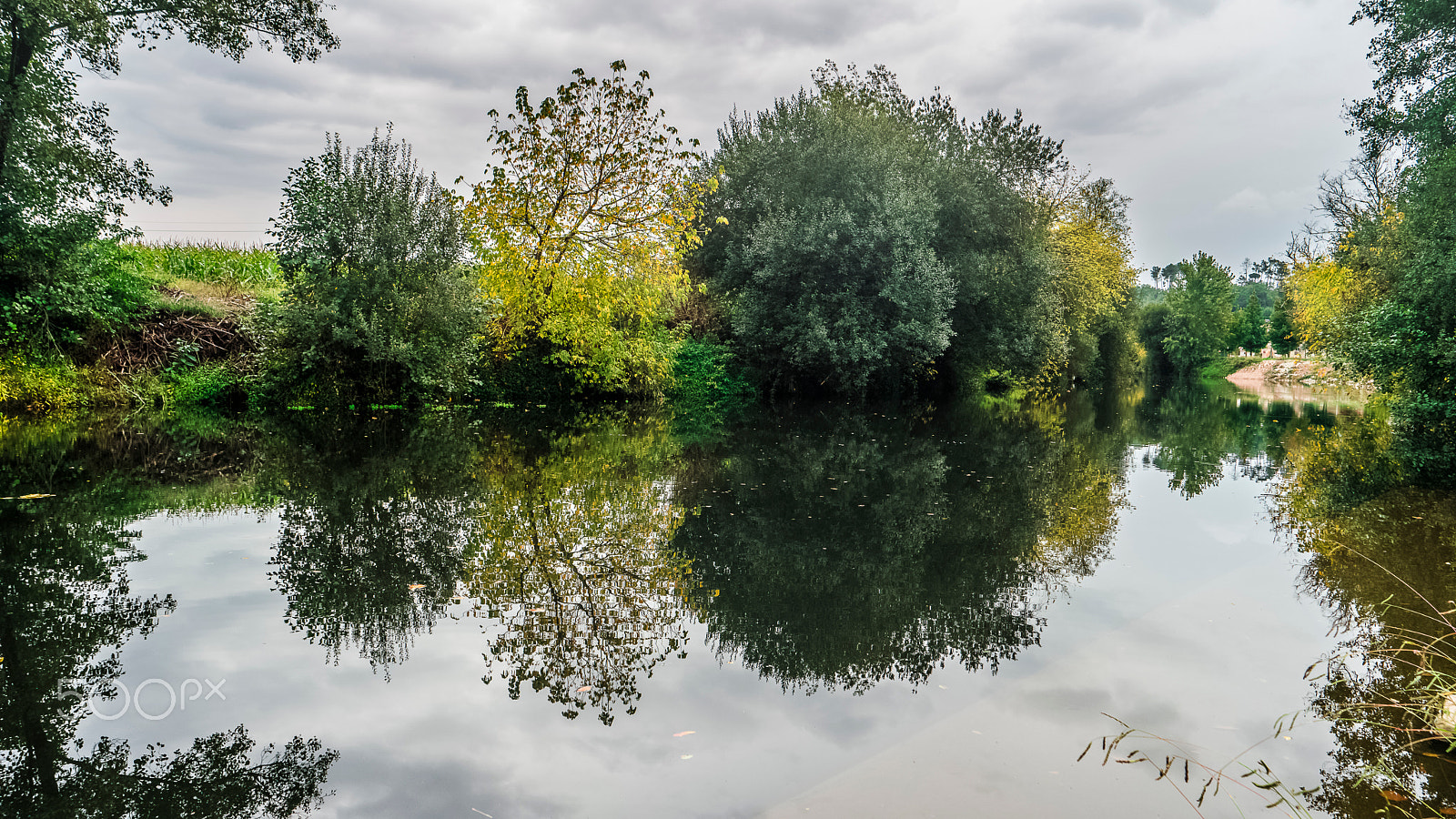 Samsung NX500 sample photo. Autumn colors along rio agueda photography