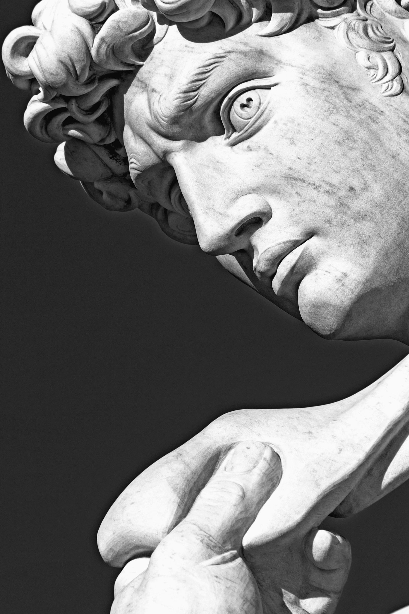 Canon EOS 400D (EOS Digital Rebel XTi / EOS Kiss Digital X) sample photo. David's eyes look towards rome photography
