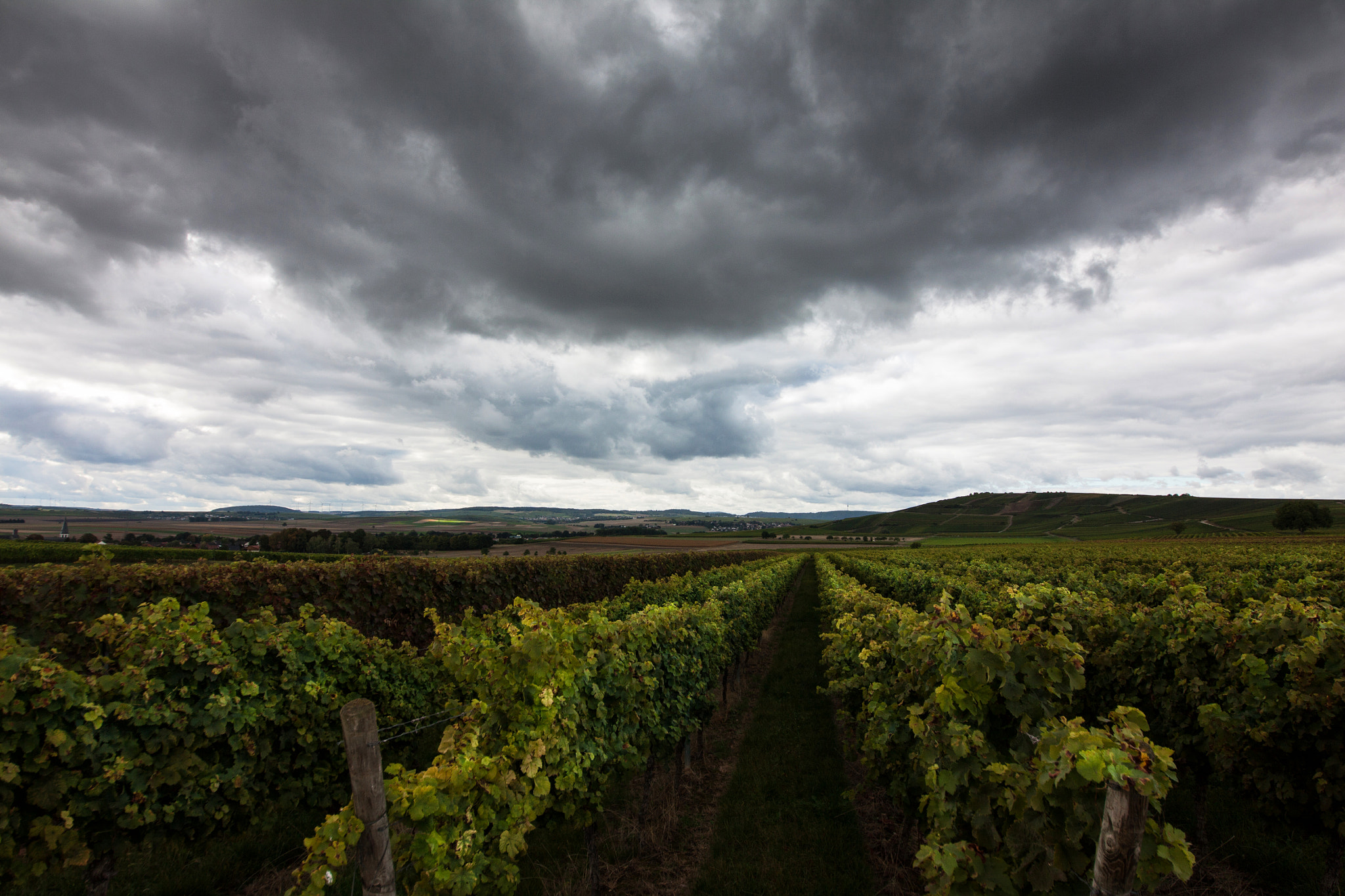 Canon EOS 50D + Sigma 12-24mm F4.5-5.6 II DG HSM sample photo. The land of vineyards photography