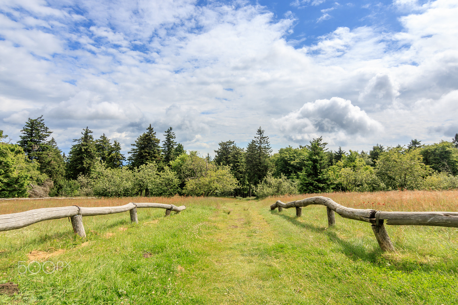Tokina AT-X 12-28mm F4 Pro DX sample photo. Großer feldberg photography