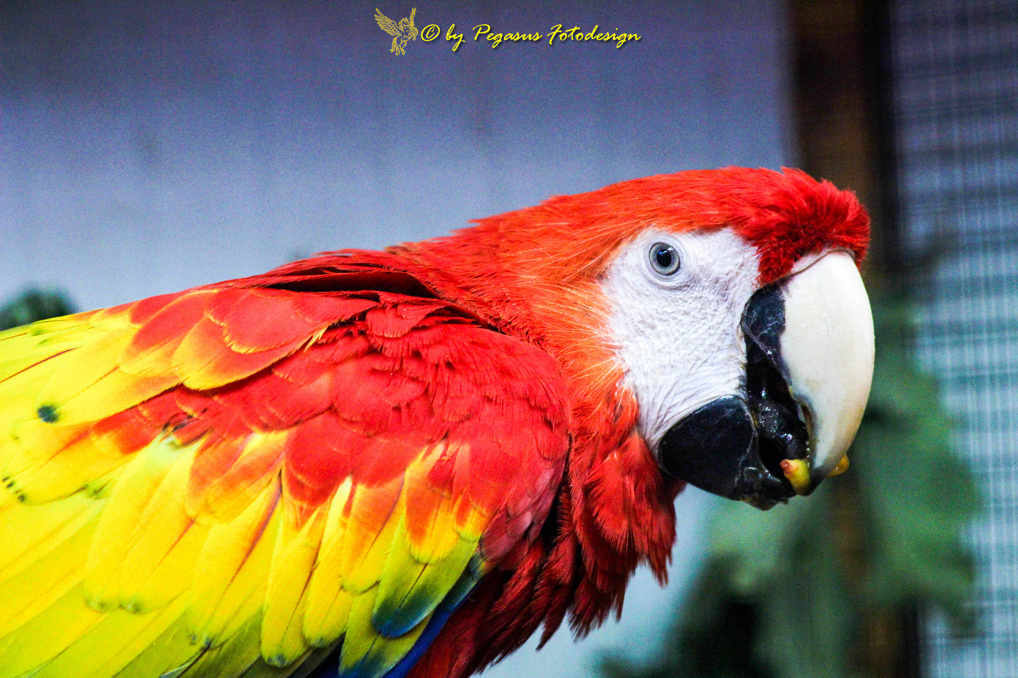 Canon EF 35-80mm f/4-5.6 sample photo