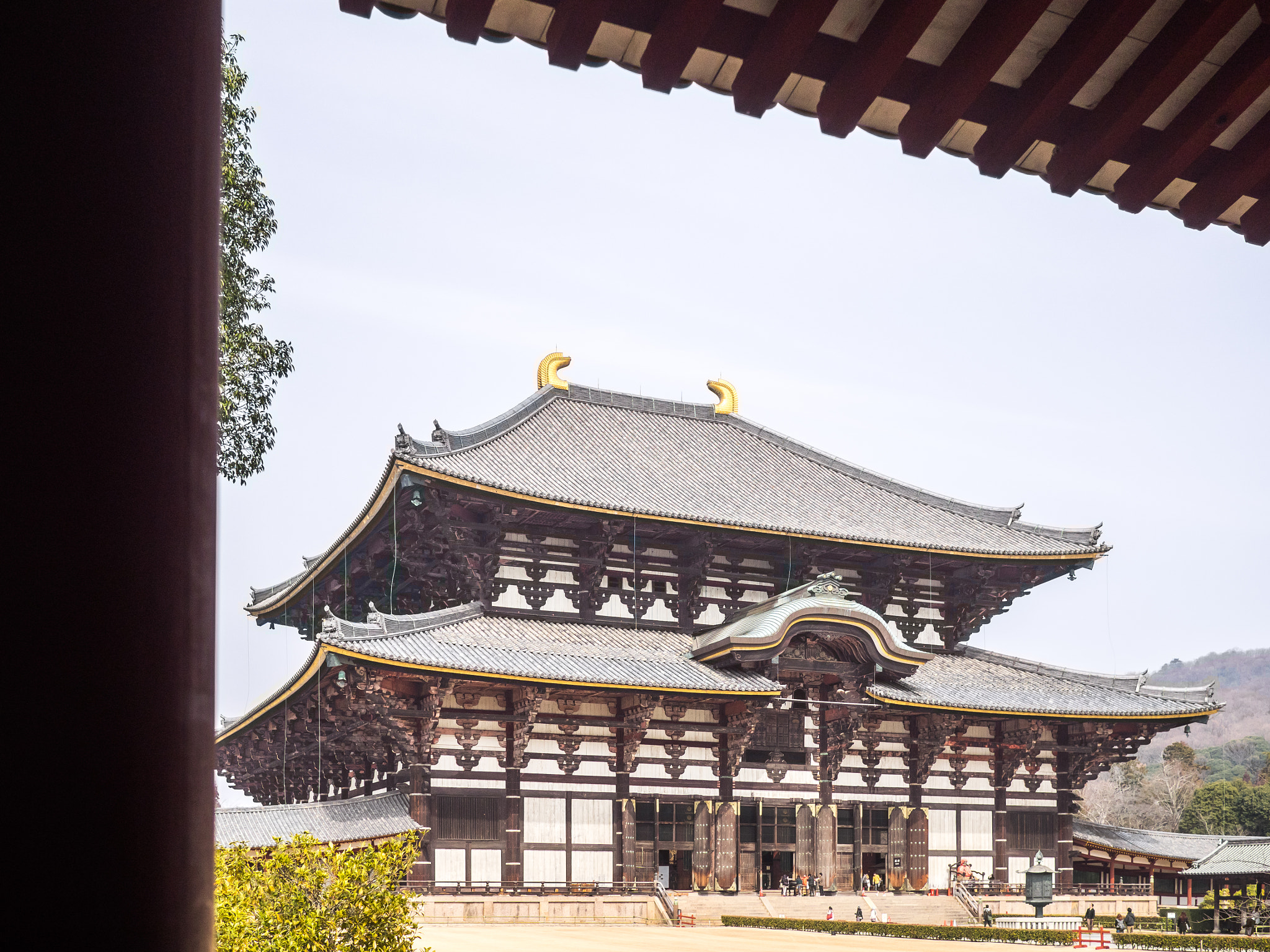 Olympus OM-D E-M1 + Panasonic Lumix G 20mm F1.7 ASPH sample photo. Todai ji temple photography