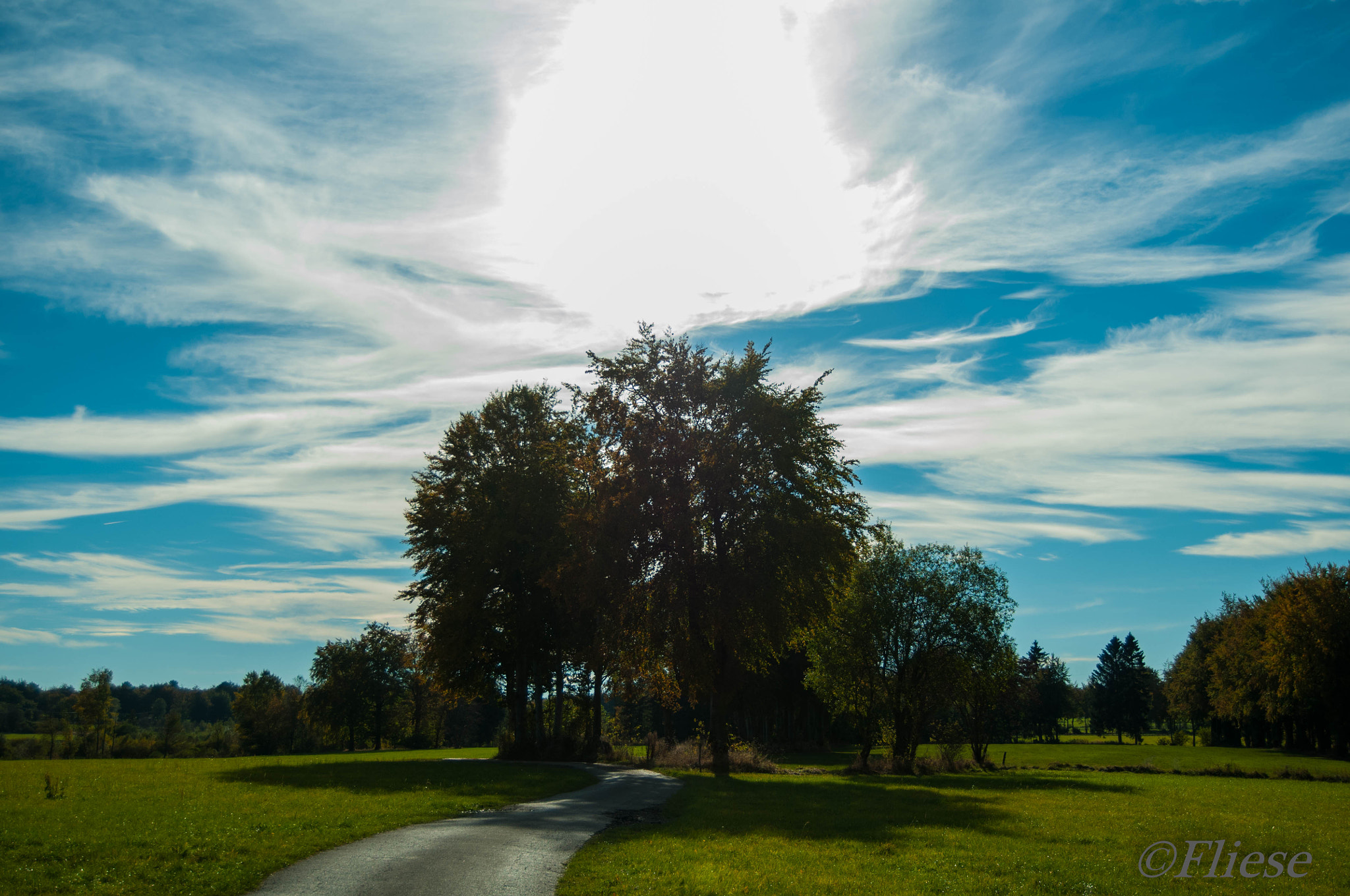 Nikon D300 sample photo. Natur/ sonne  photography