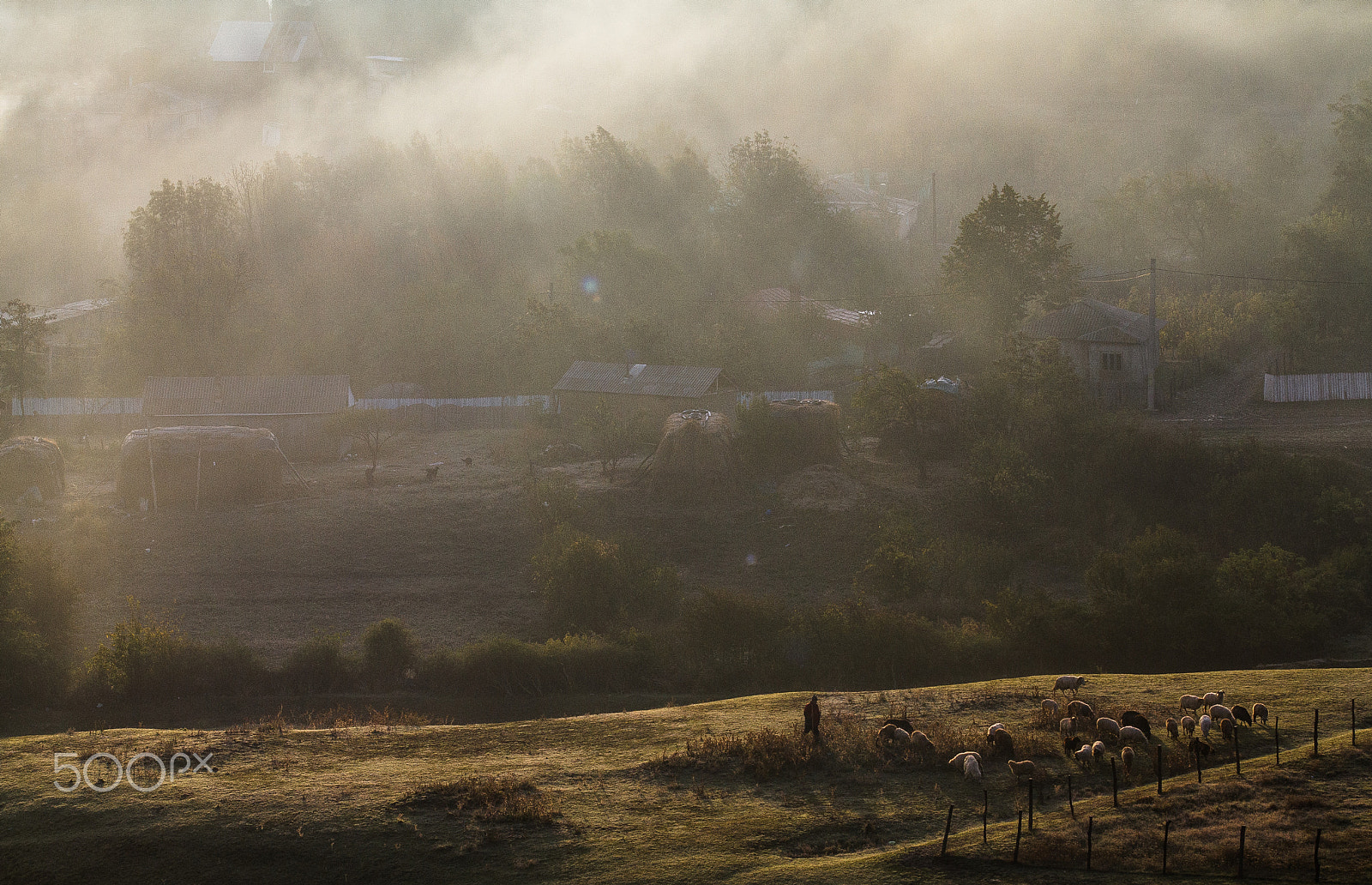 Sigma 70-200mm F2.8 EX DG OS HSM sample photo. At sunsrise photography