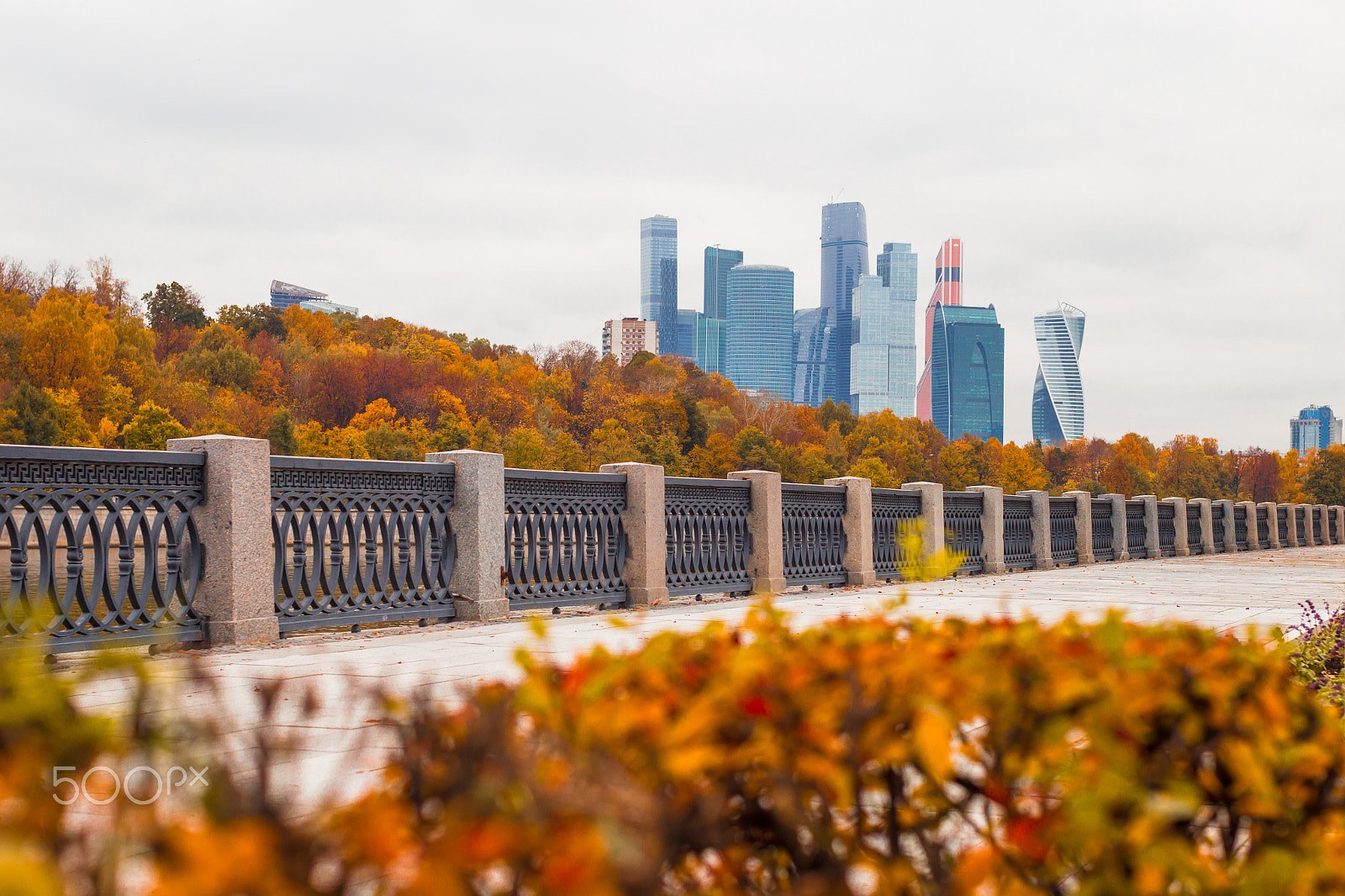 Canon EOS-1D Mark IV sample photo. Moscow autumn with golden foliage and views of the skyscrapers o photography