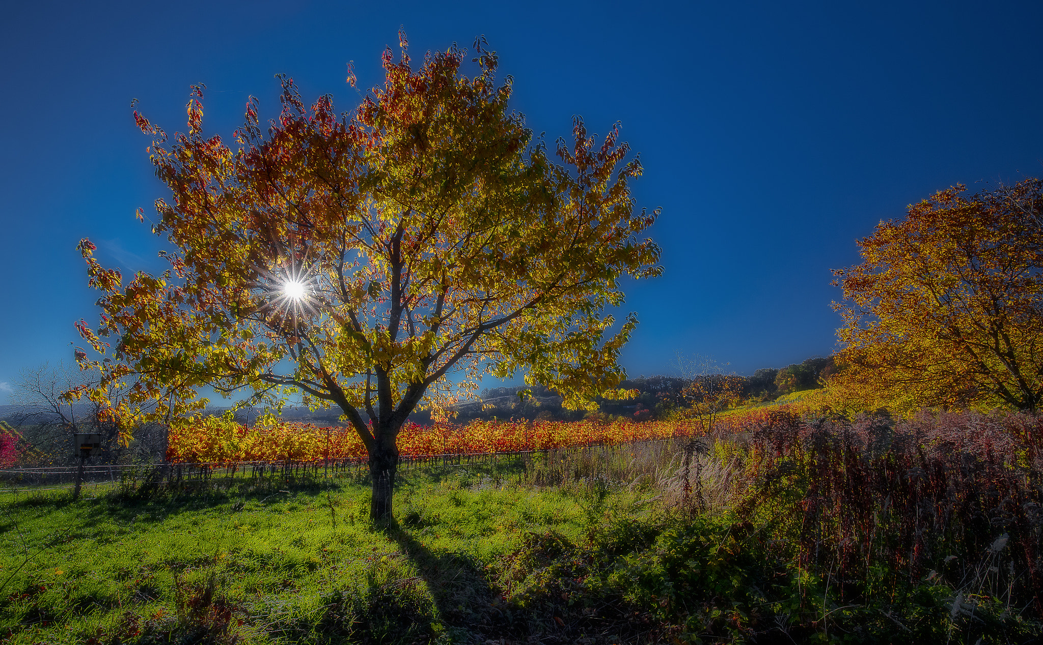 Canon EOS 6D + Canon EF 16-35mm F4L IS USM sample photo. Shiny photography