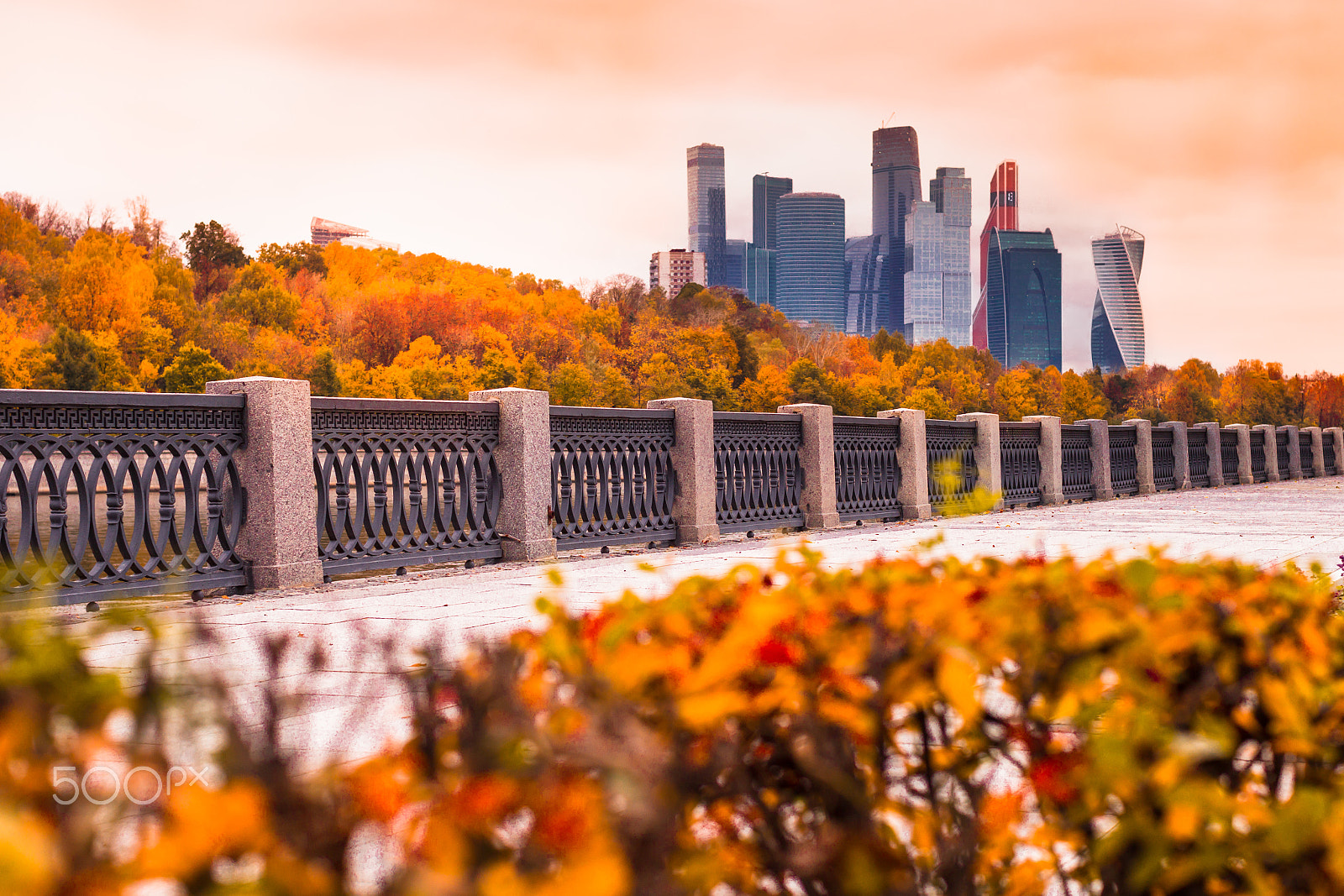 Canon EOS-1D Mark IV sample photo. Moscow autumn with golden foliage and views of the skyscrapers o photography