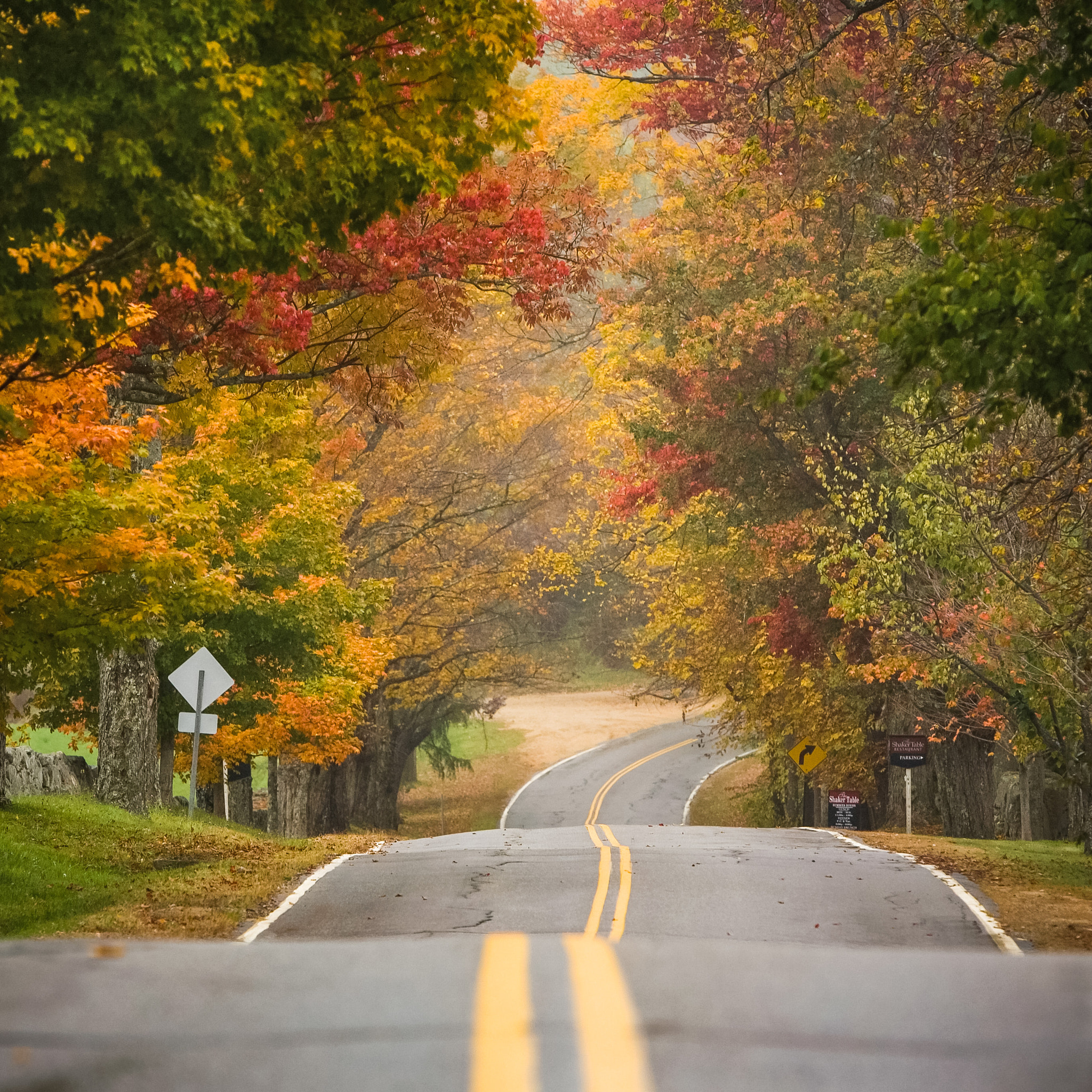 Canon EF 70-200mm F2.8L IS USM sample photo. Indian summer in new england photography