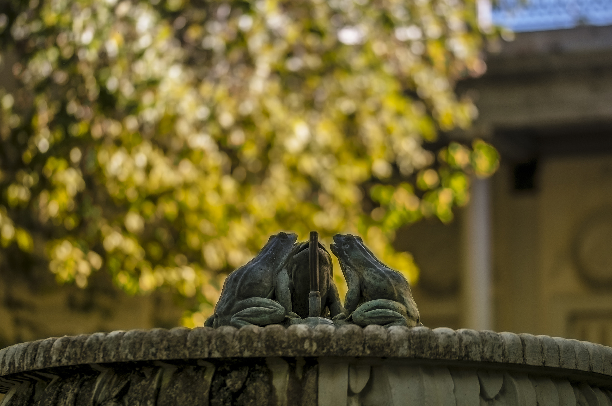 Sigma 105mm F2.8 EX DG OS HSM sample photo. Fu0001 photography