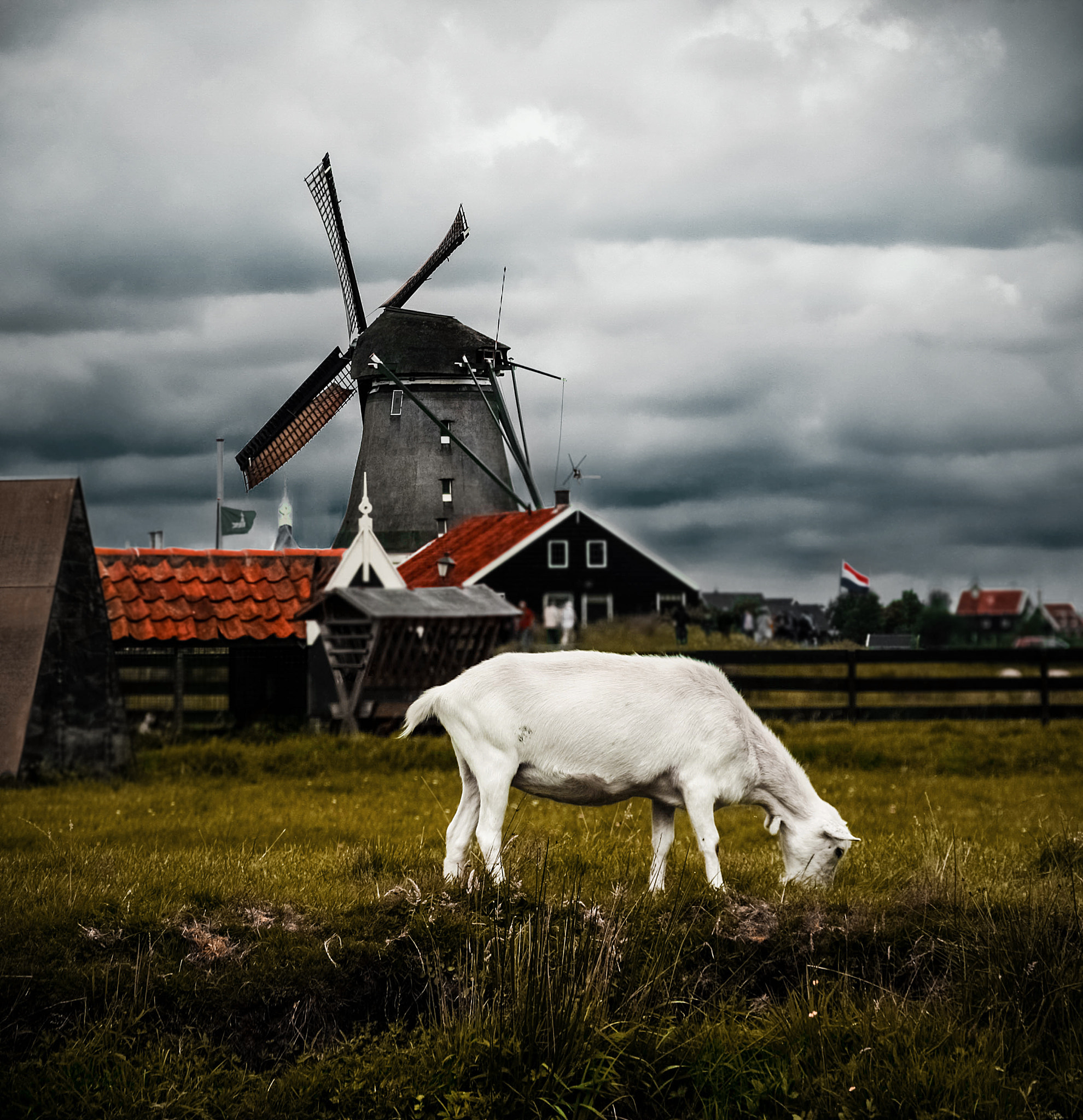 Sigma 18-125mm F3.8-5.6 DC OS HSM sample photo. Holland photography