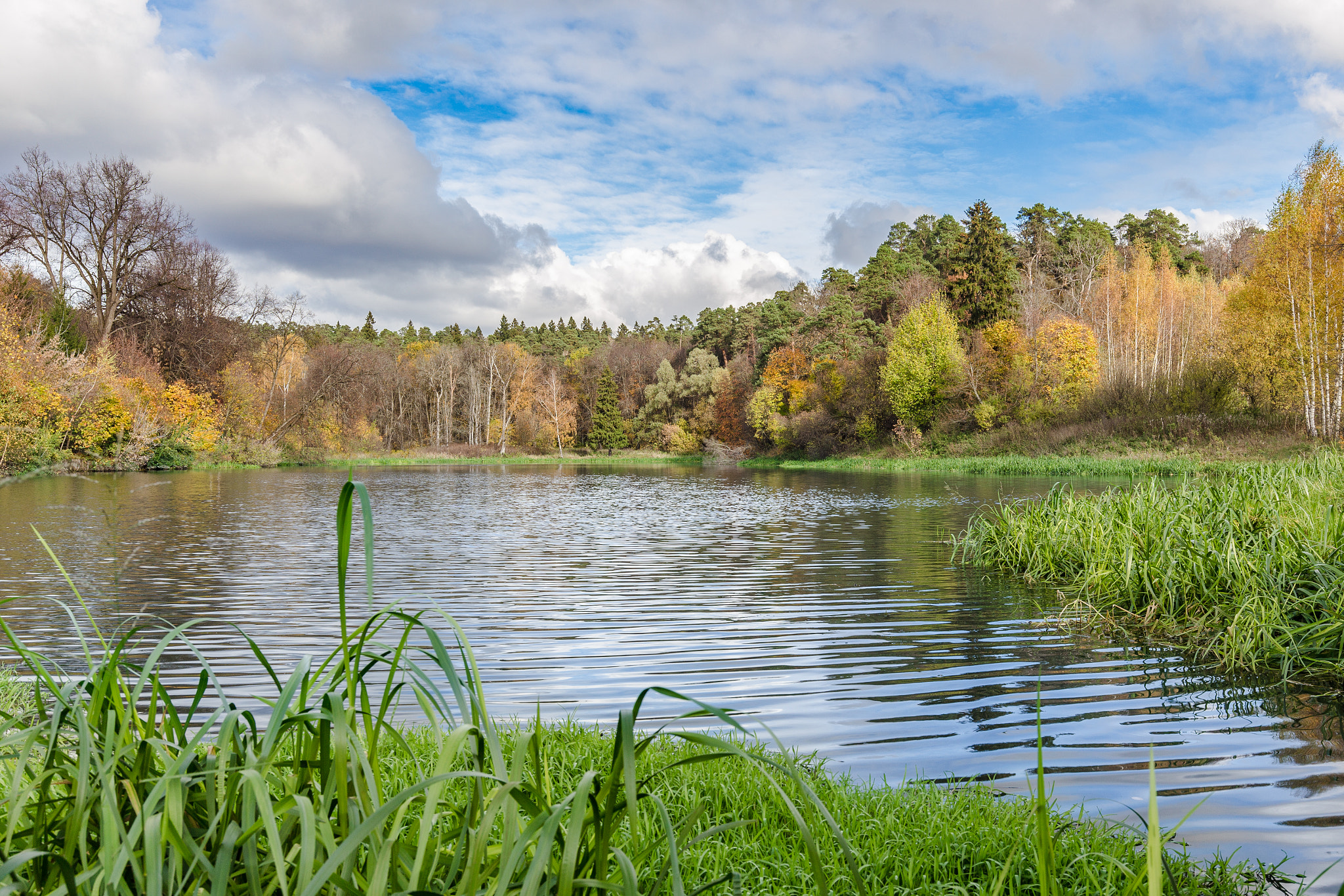 Canon EOS 6D + Canon EF 16-35mm F4L IS USM sample photo. Colours of russian fall photography