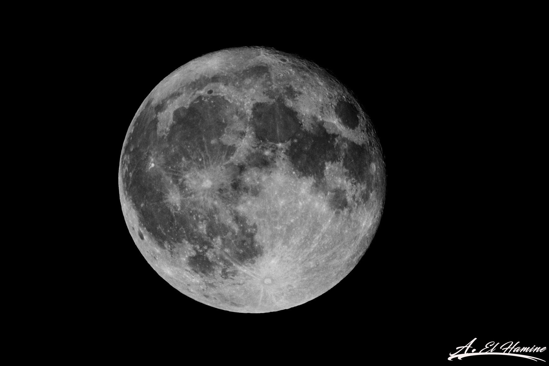 Sigma 150-600mm F5-6.3 DG OS HSM | C sample photo. Lune photography
