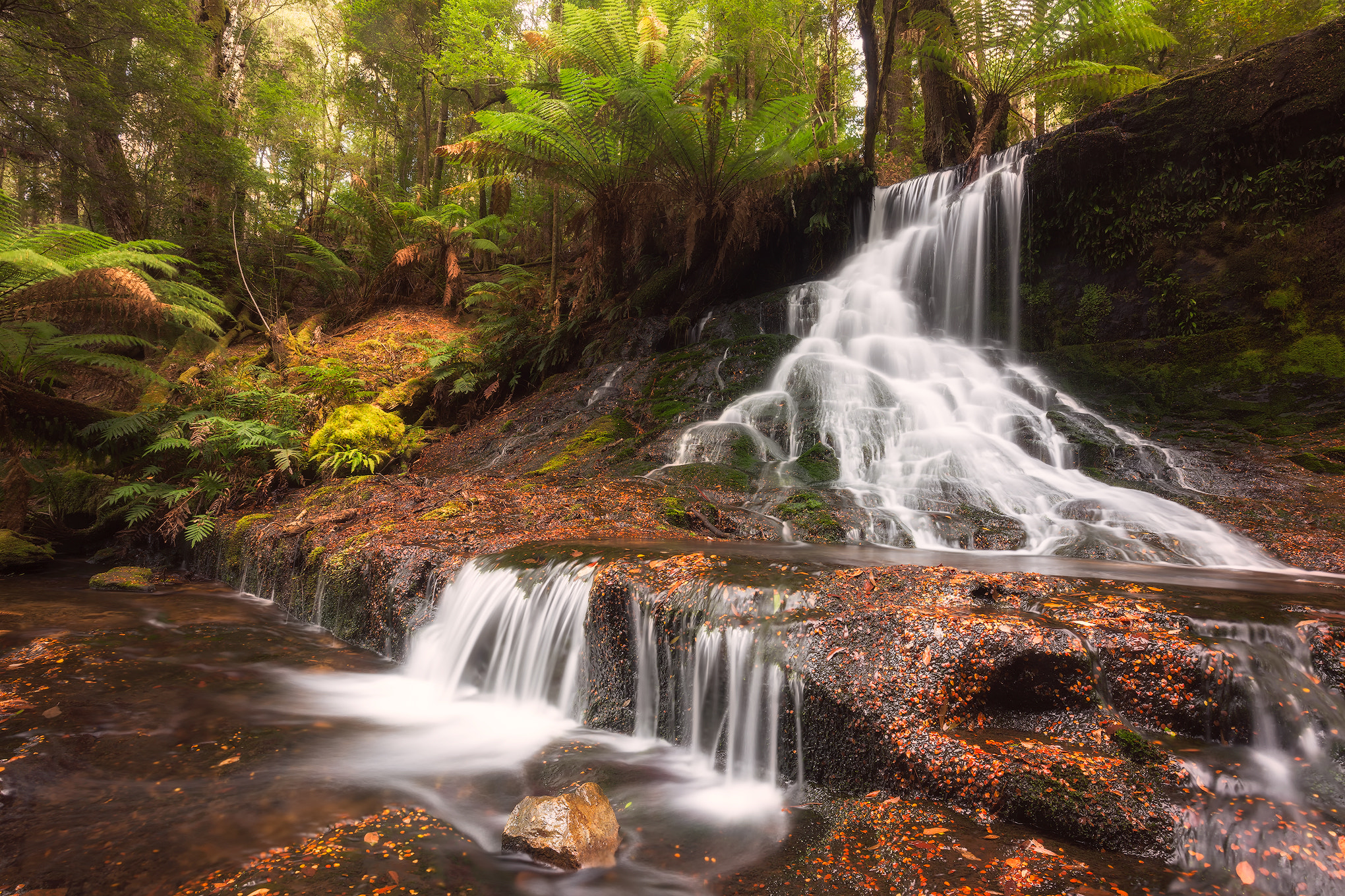 Canon EOS 6D + Canon EF 16-35mm F4L IS USM sample photo. Horseshot falls, mount field np photography