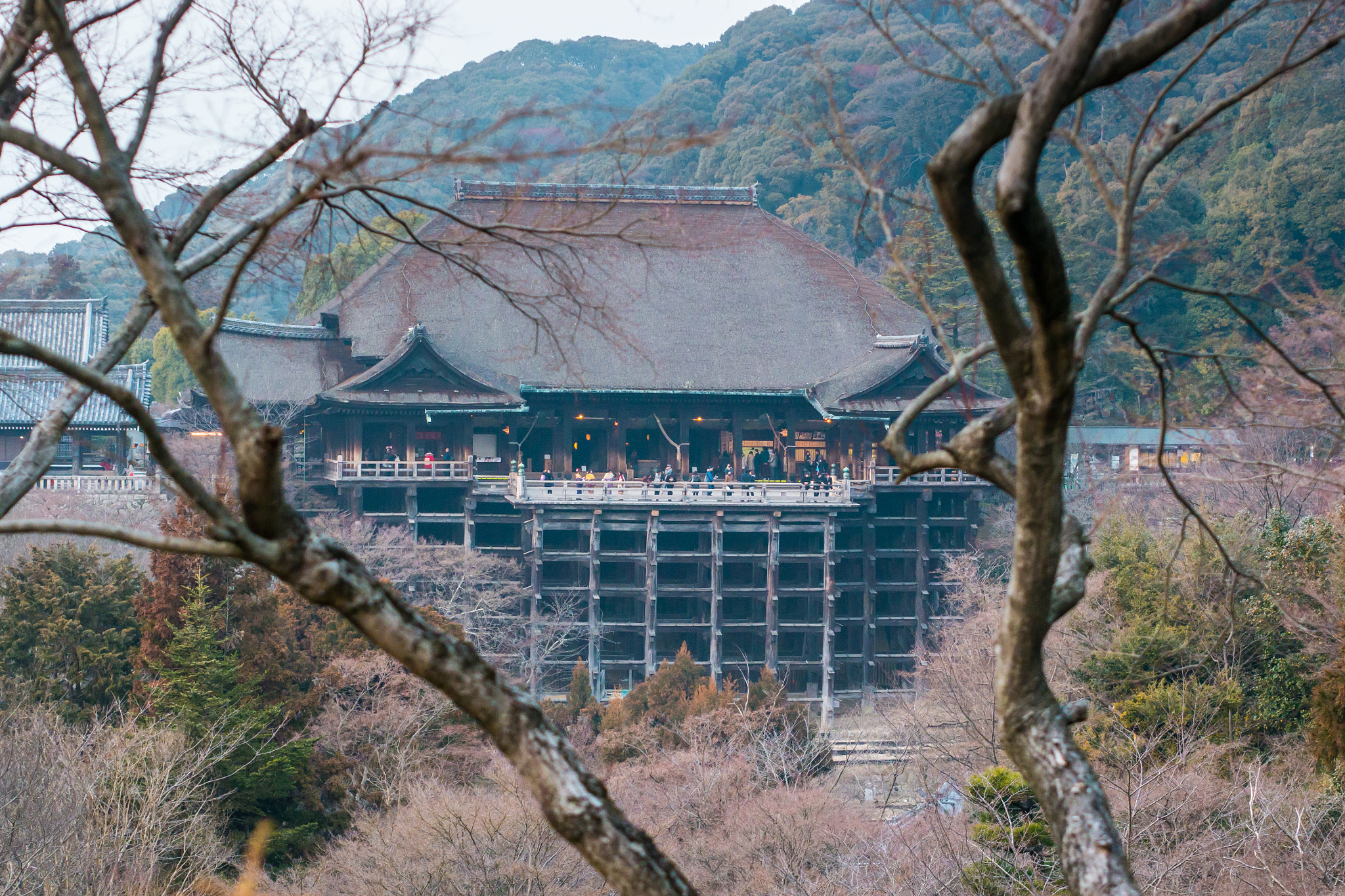 Panasonic Lumix DMC-G5 + Olympus M.Zuiko Digital 45mm F1.8 sample photo. Frontal view of the kiyomizu dera shrine photography