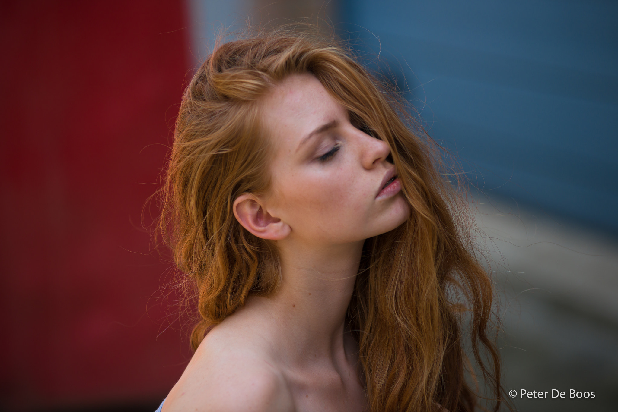 Nikon AF-Nikkor 80-200mm F2.8D ED sample photo. Venja photography