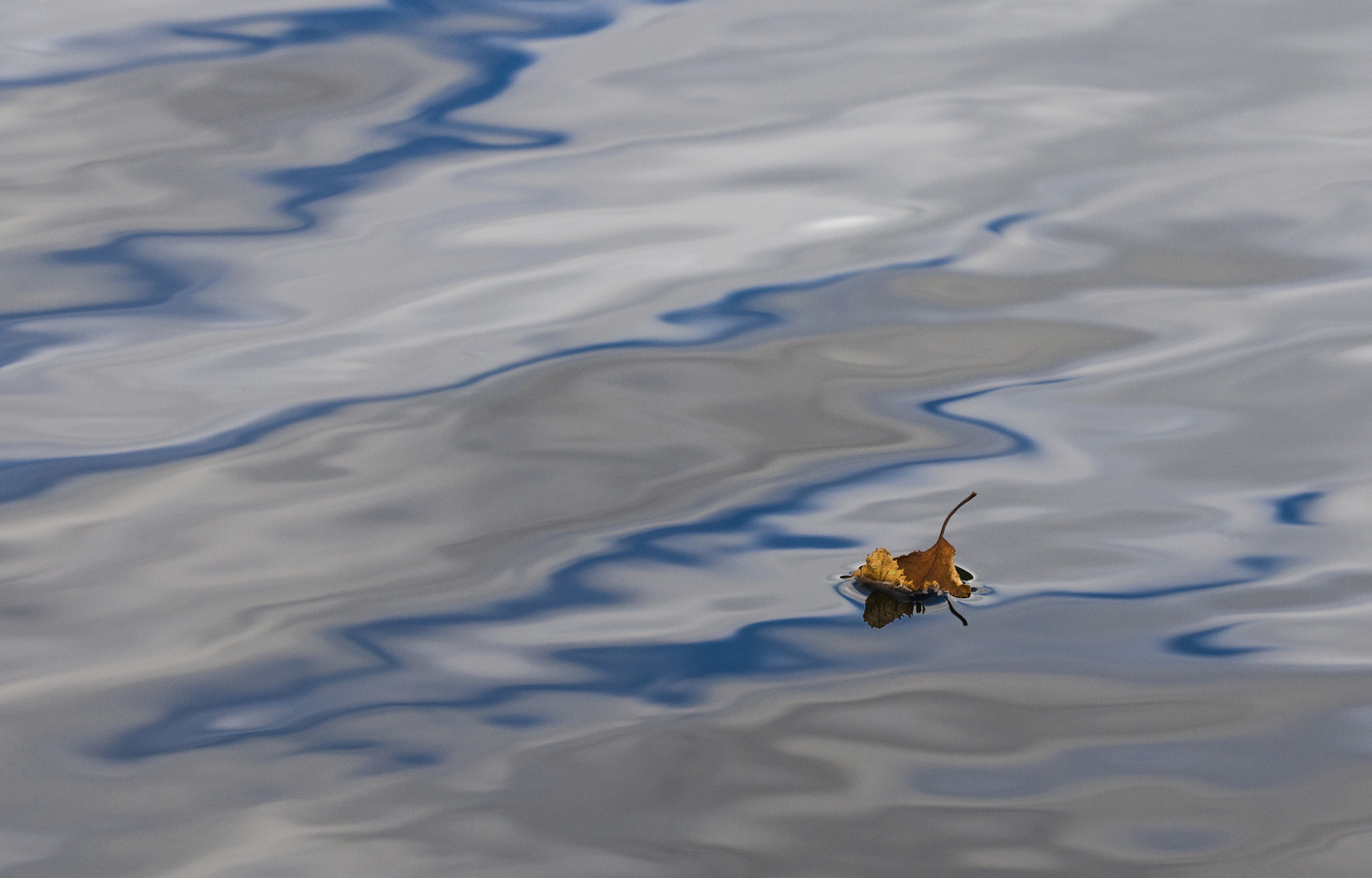 Sigma 150mm F2.8 EX DG OS Macro HSM sample photo. Autumn photography